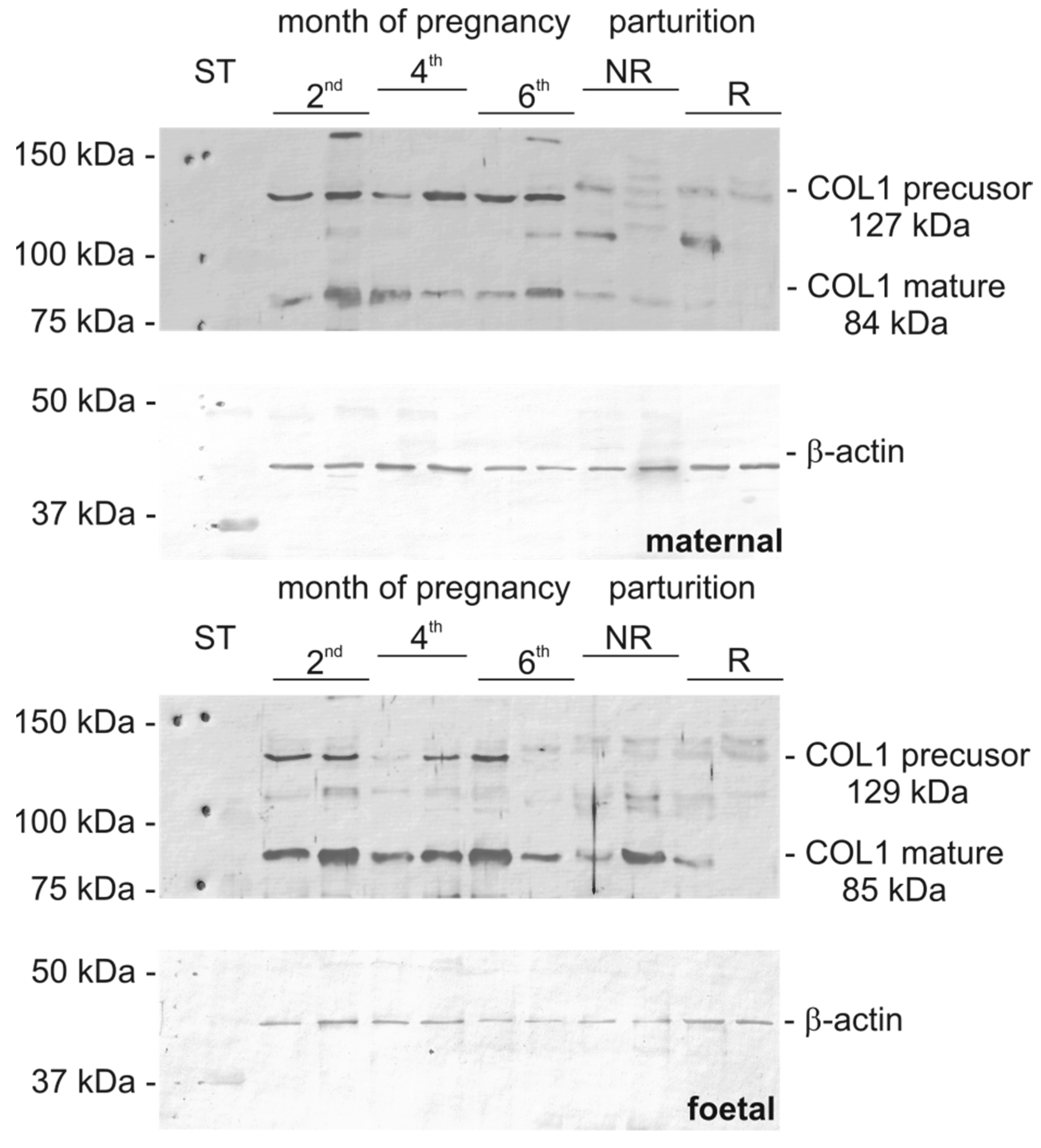 Biomolecules 15 00167 g001
