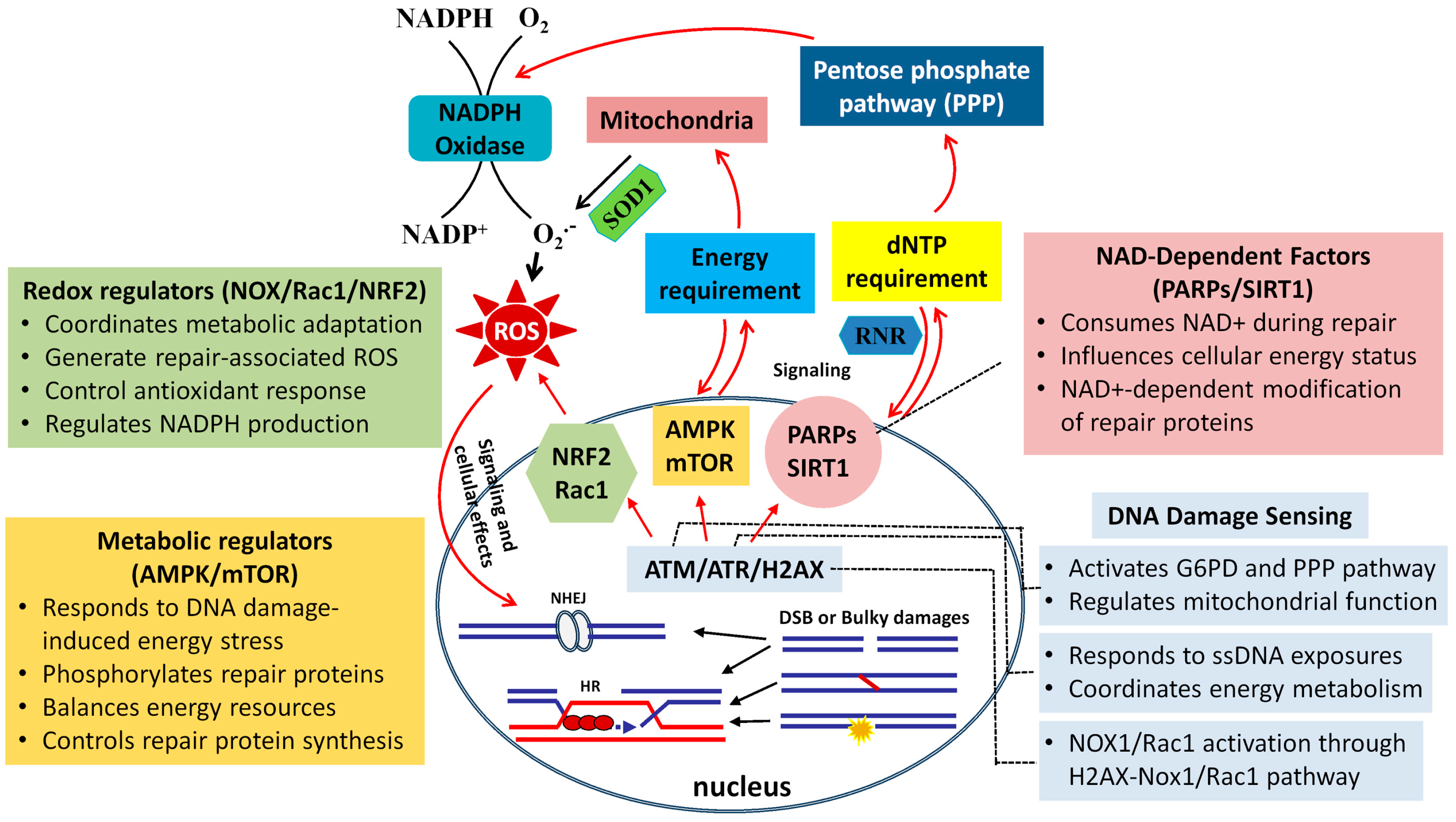 Biomolecules 15 00168 g001