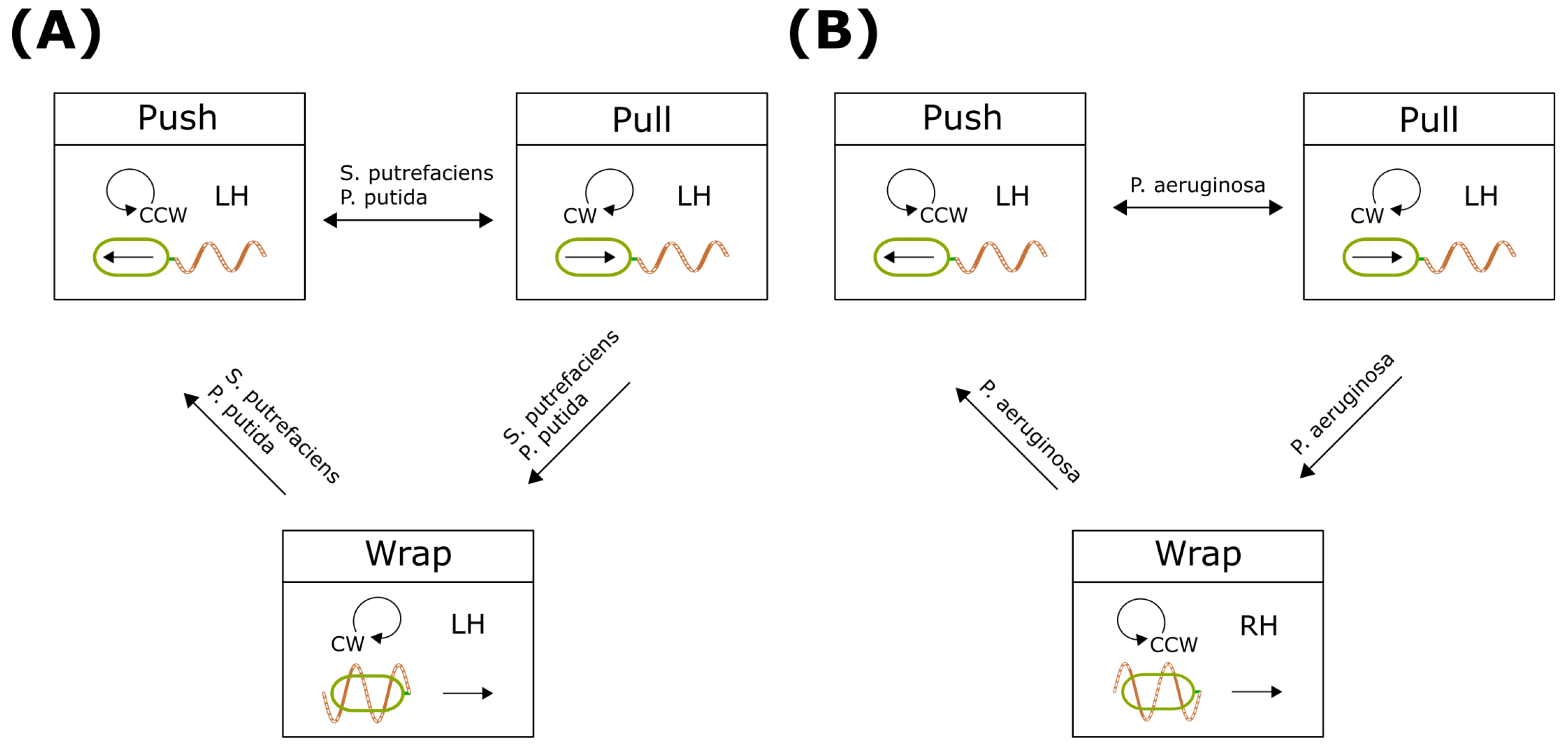 Biomolecules 15 00170 g005
