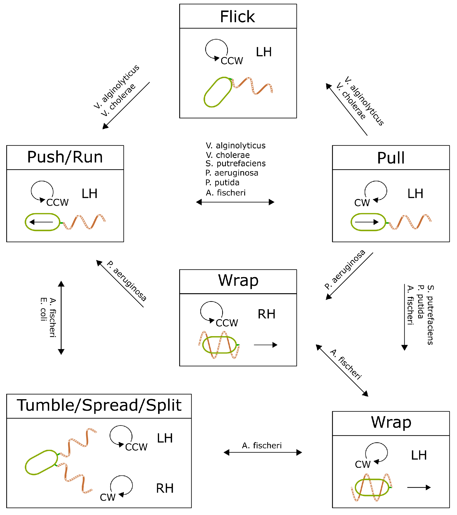 Biomolecules 15 00170 g007