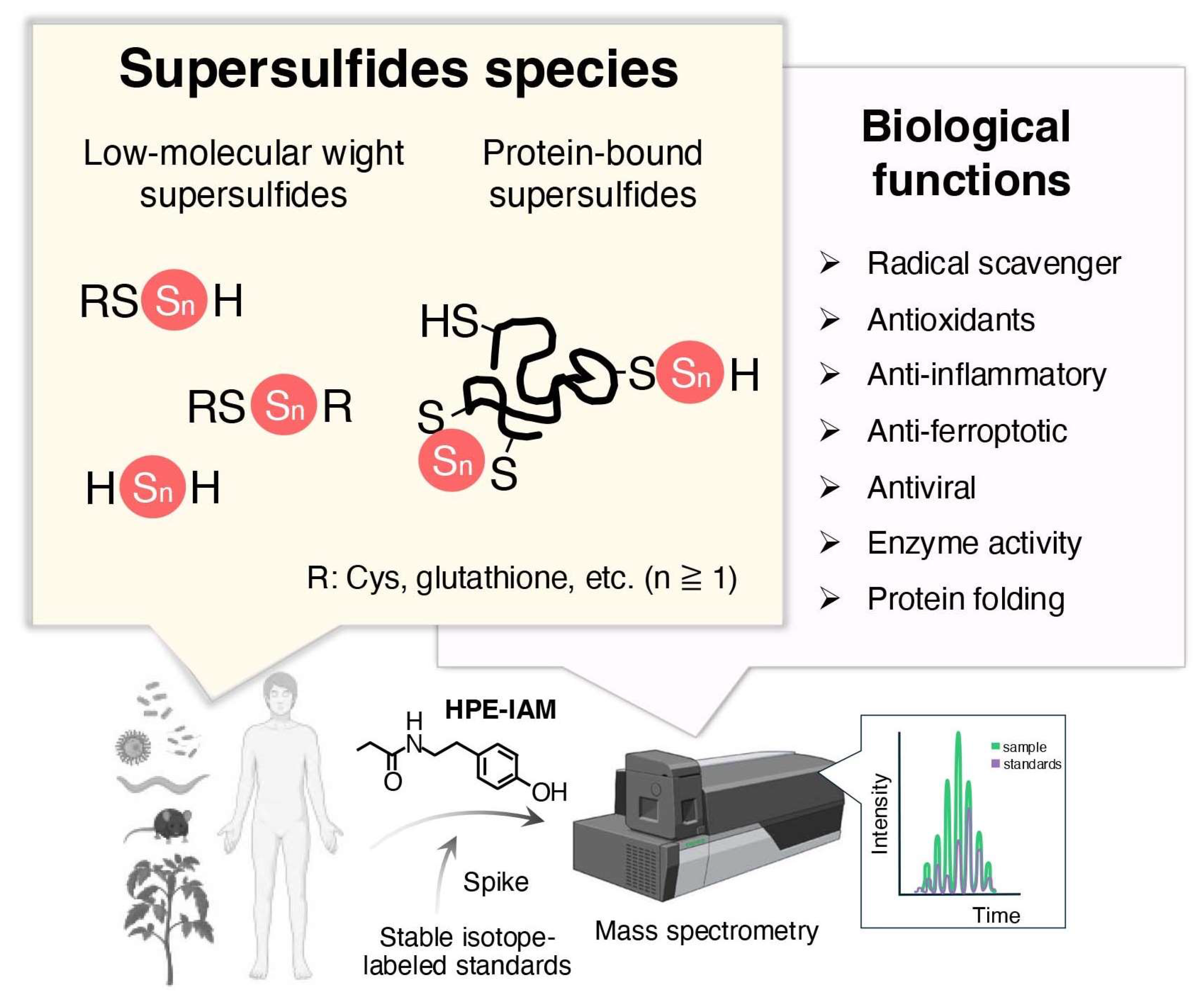Biomolecules 15 00172 g002