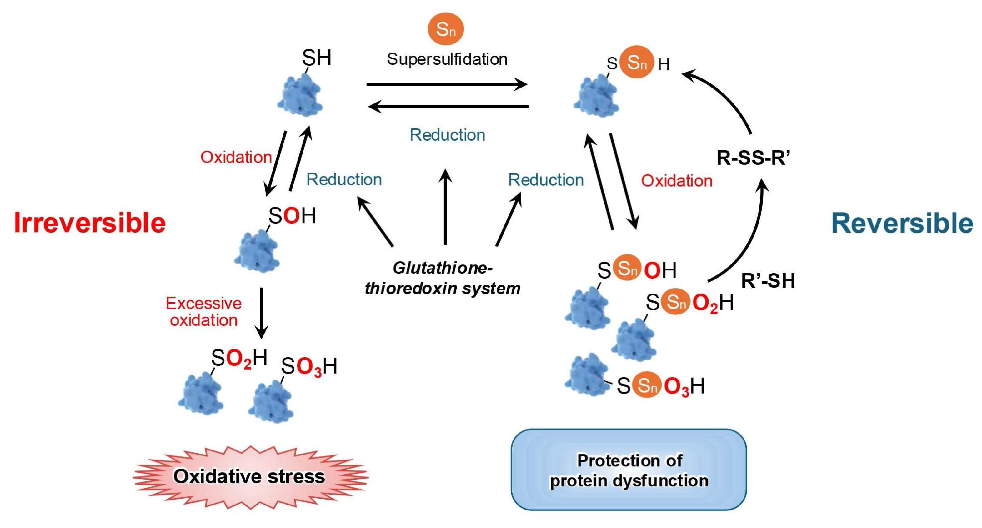 Biomolecules 15 00172 g005