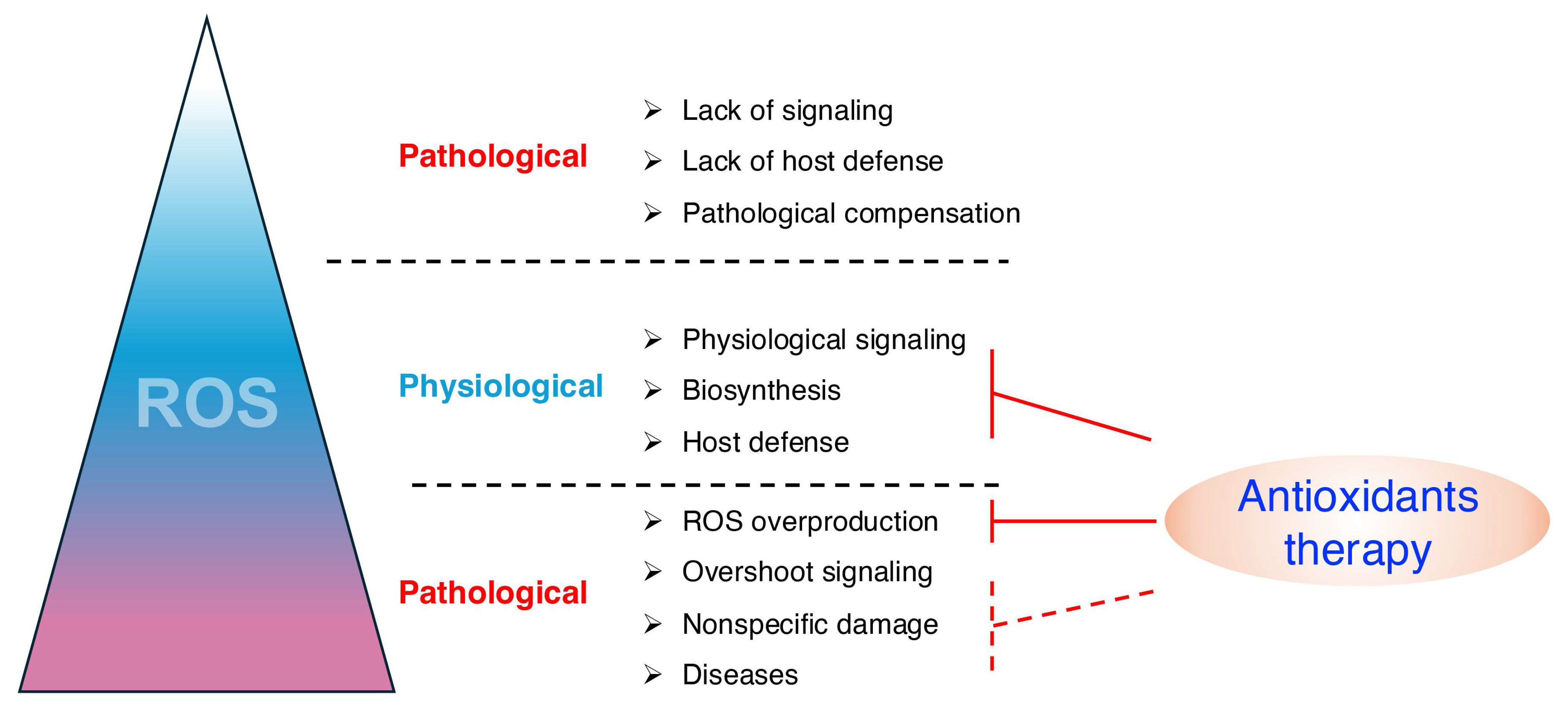 Biomolecules 15 00172 g007