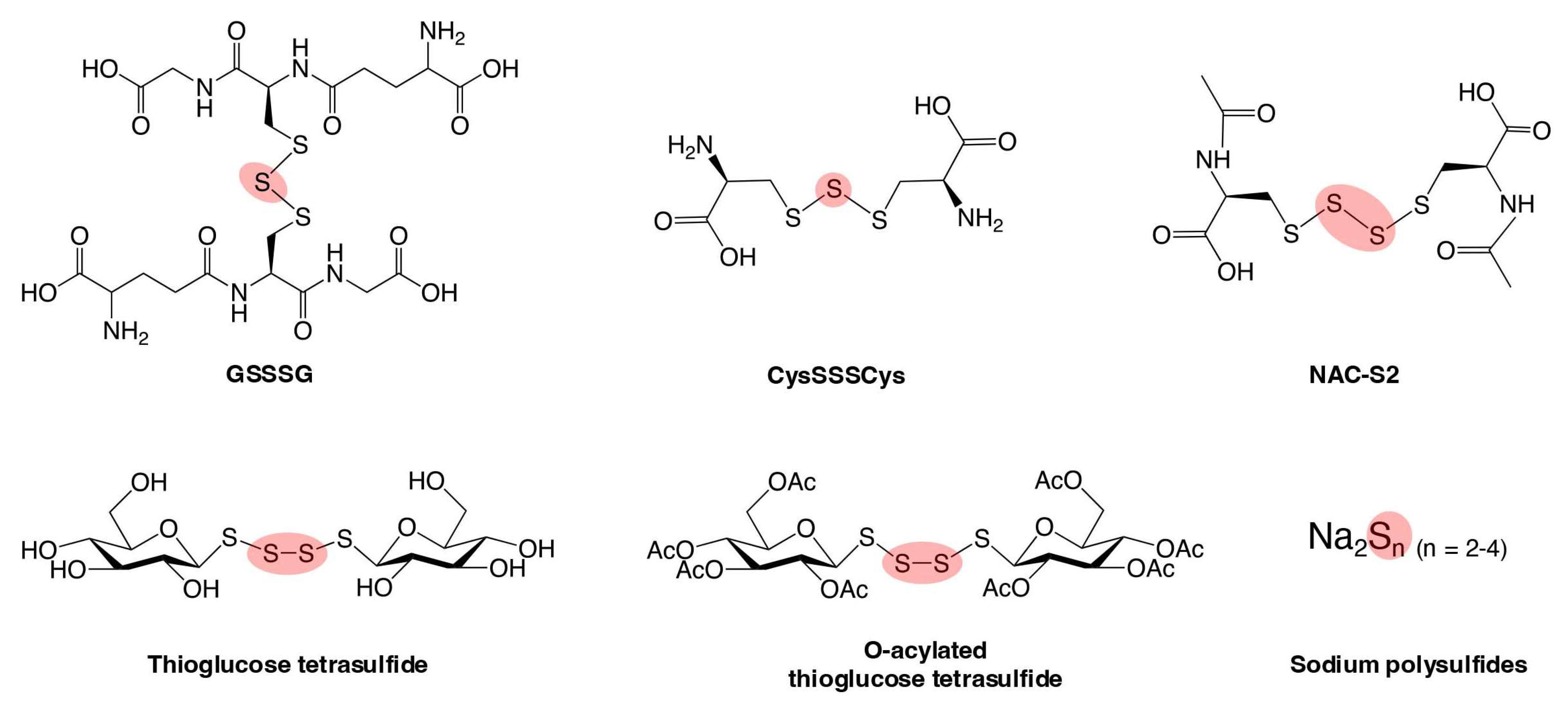 Biomolecules 15 00172 g008