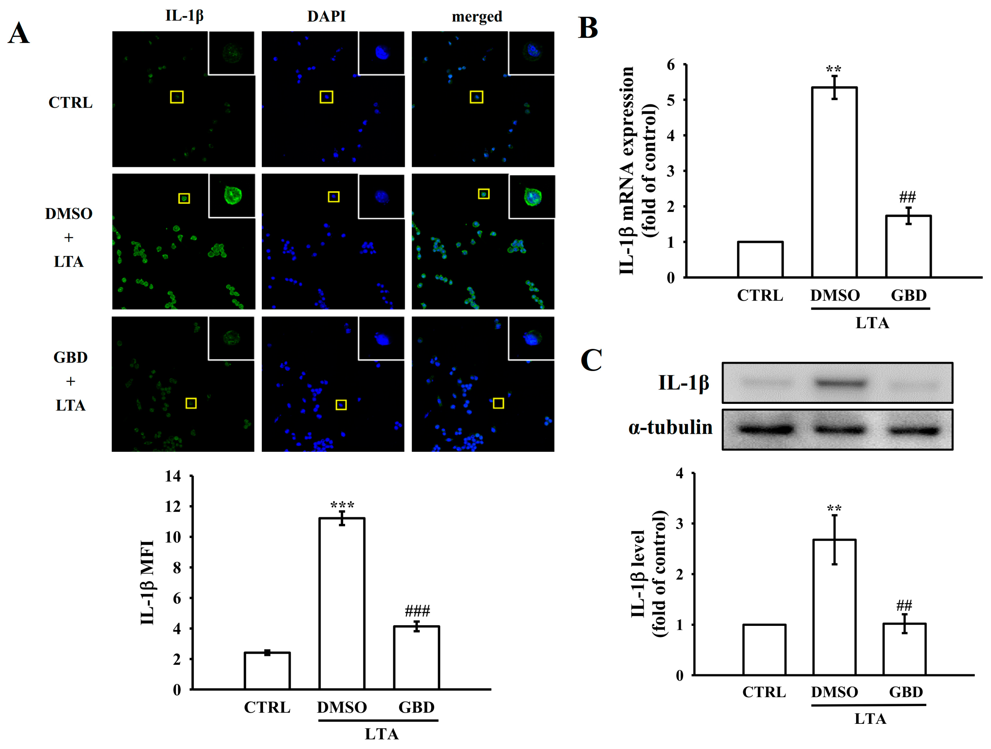 Biomolecules 15 00174 g002