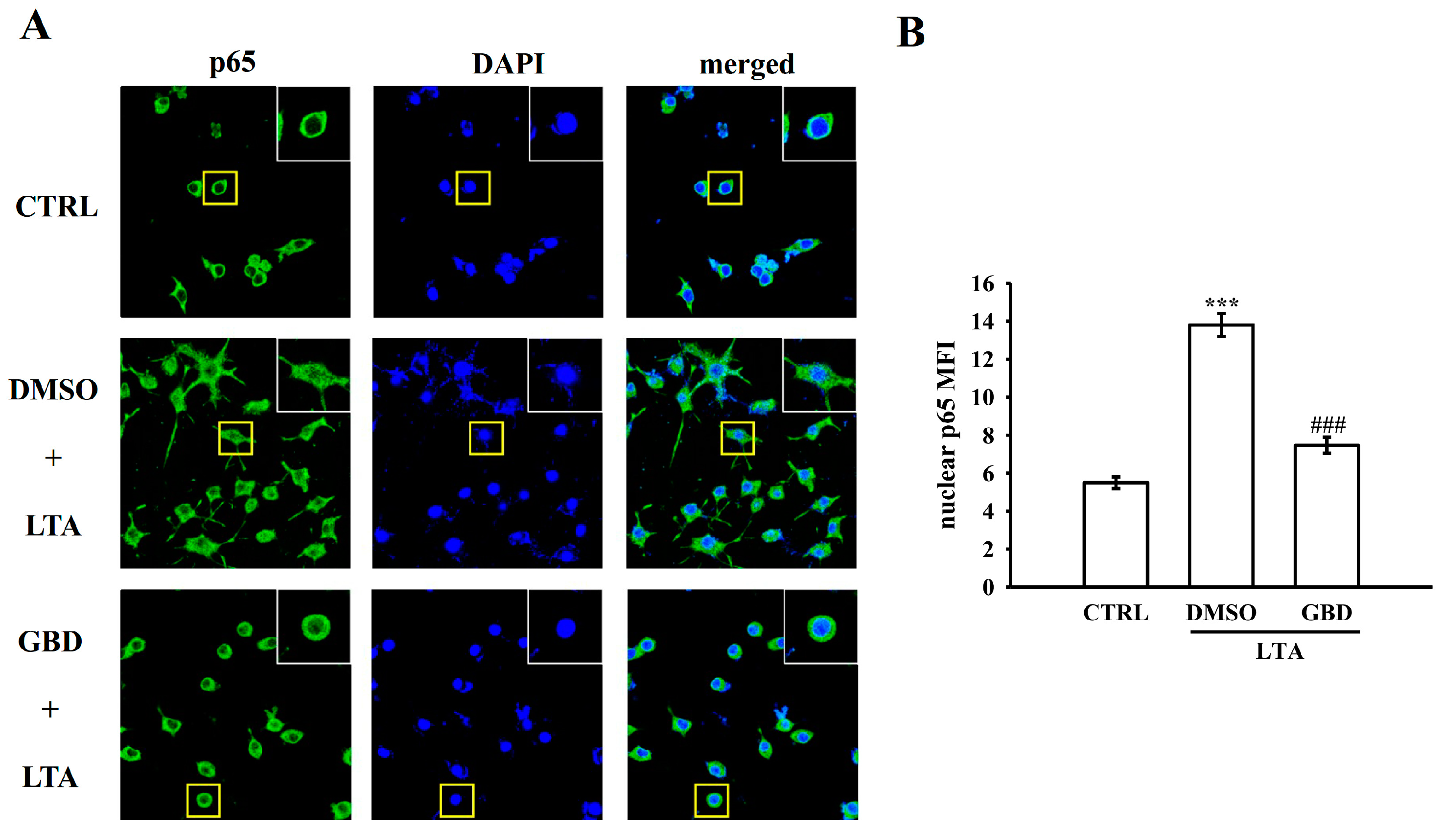 Biomolecules 15 00174 g004