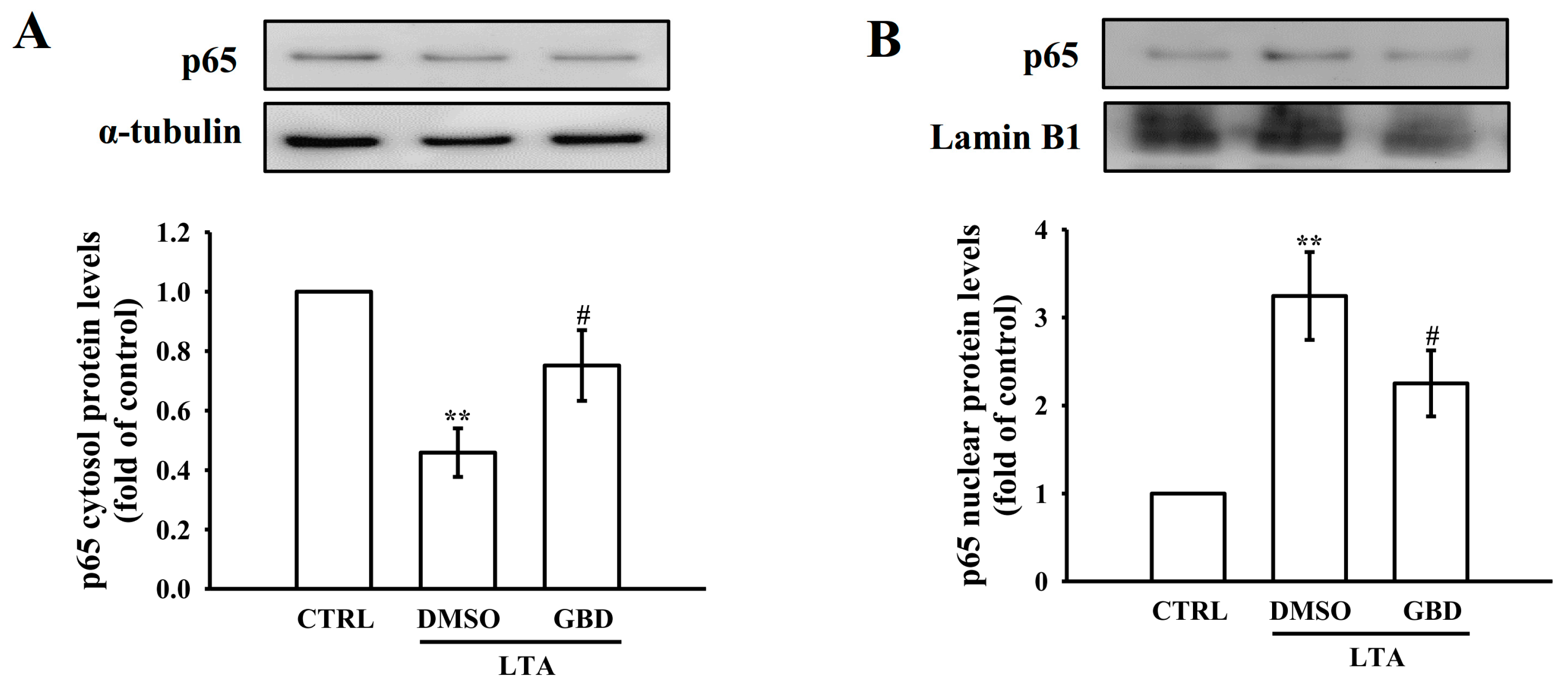 Biomolecules 15 00174 g005