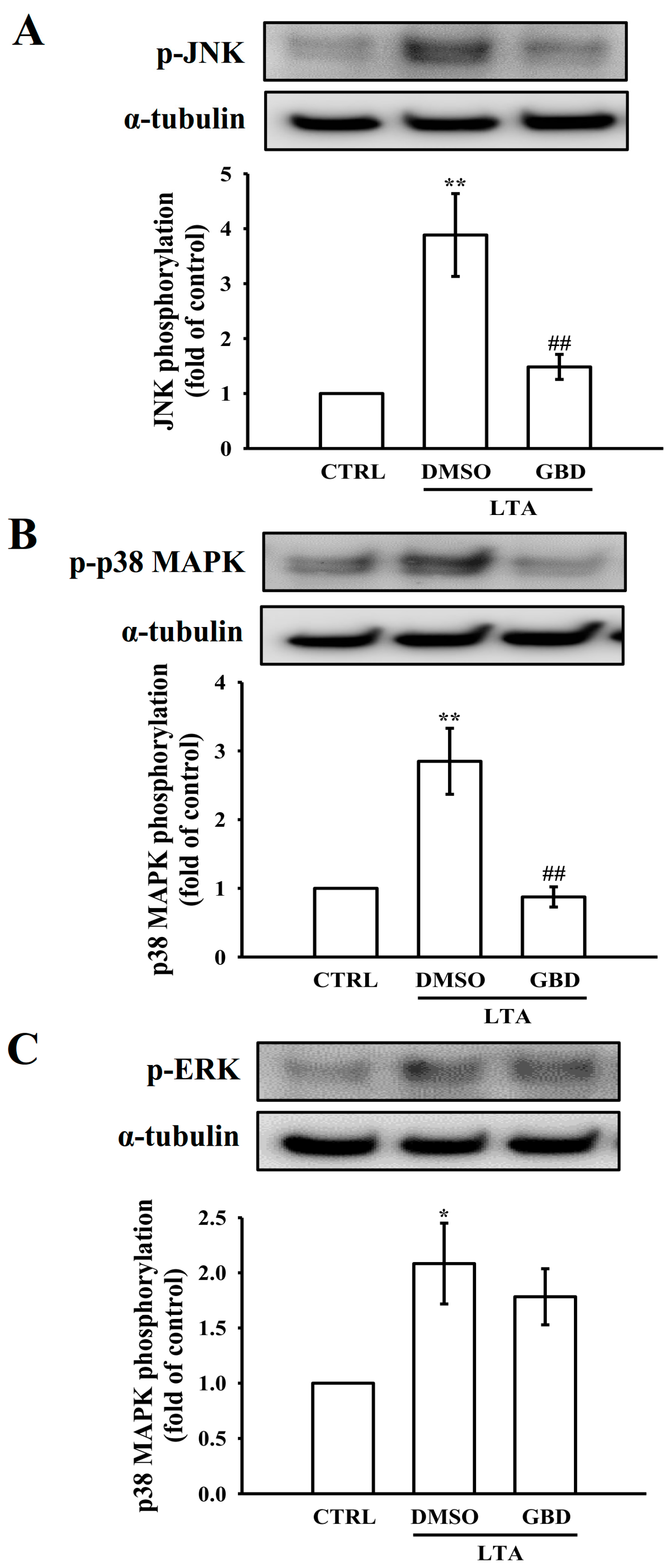 Biomolecules 15 00174 g006