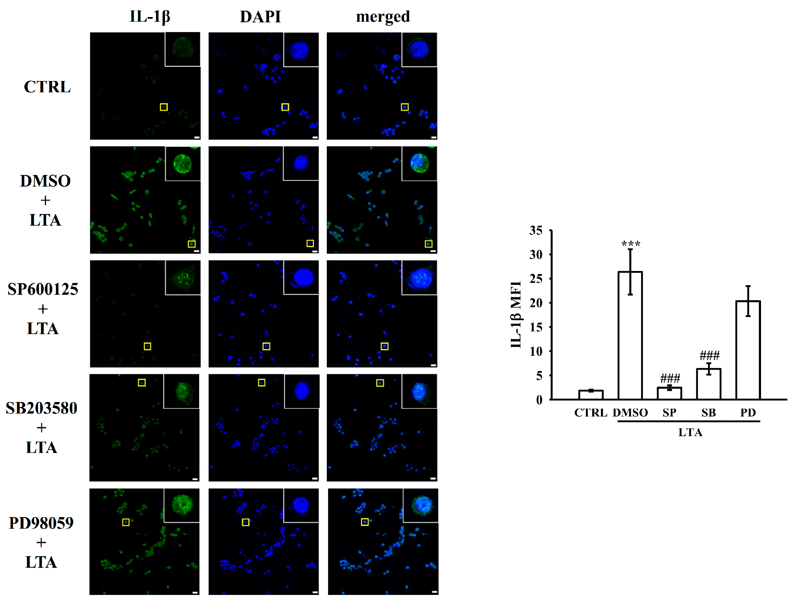 Biomolecules 15 00174 g007