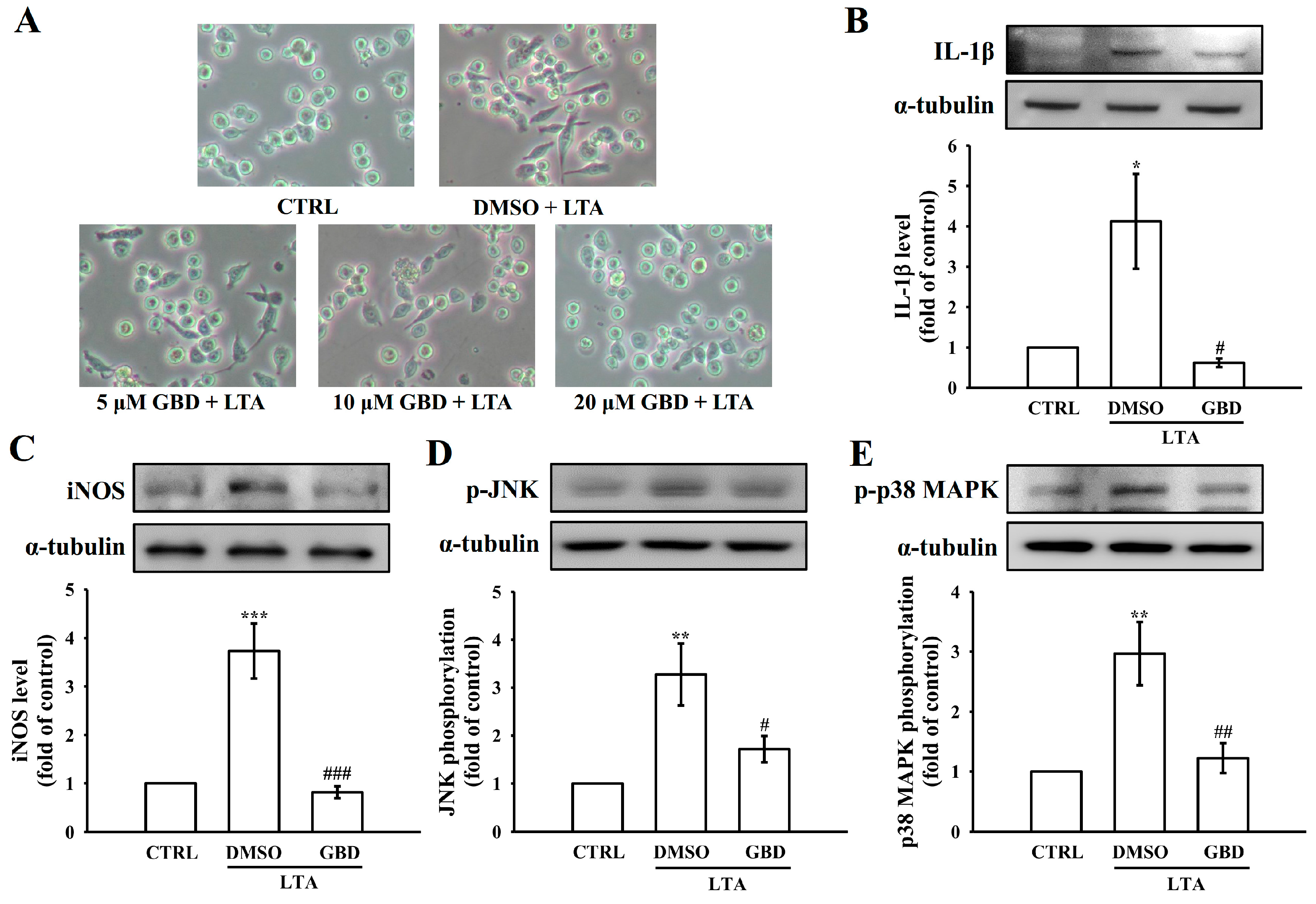 Biomolecules 15 00174 g008