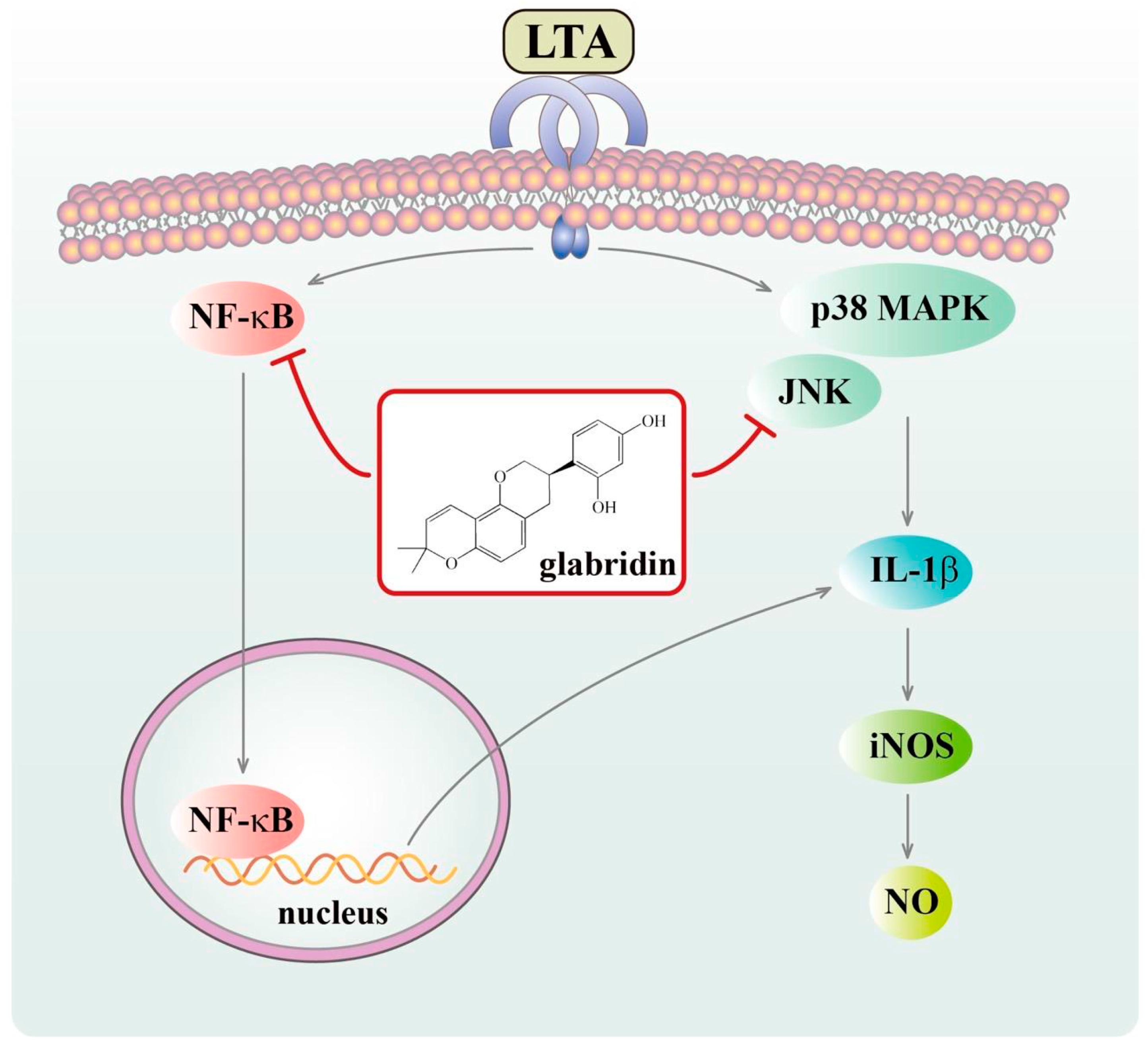 Biomolecules 15 00174 g009