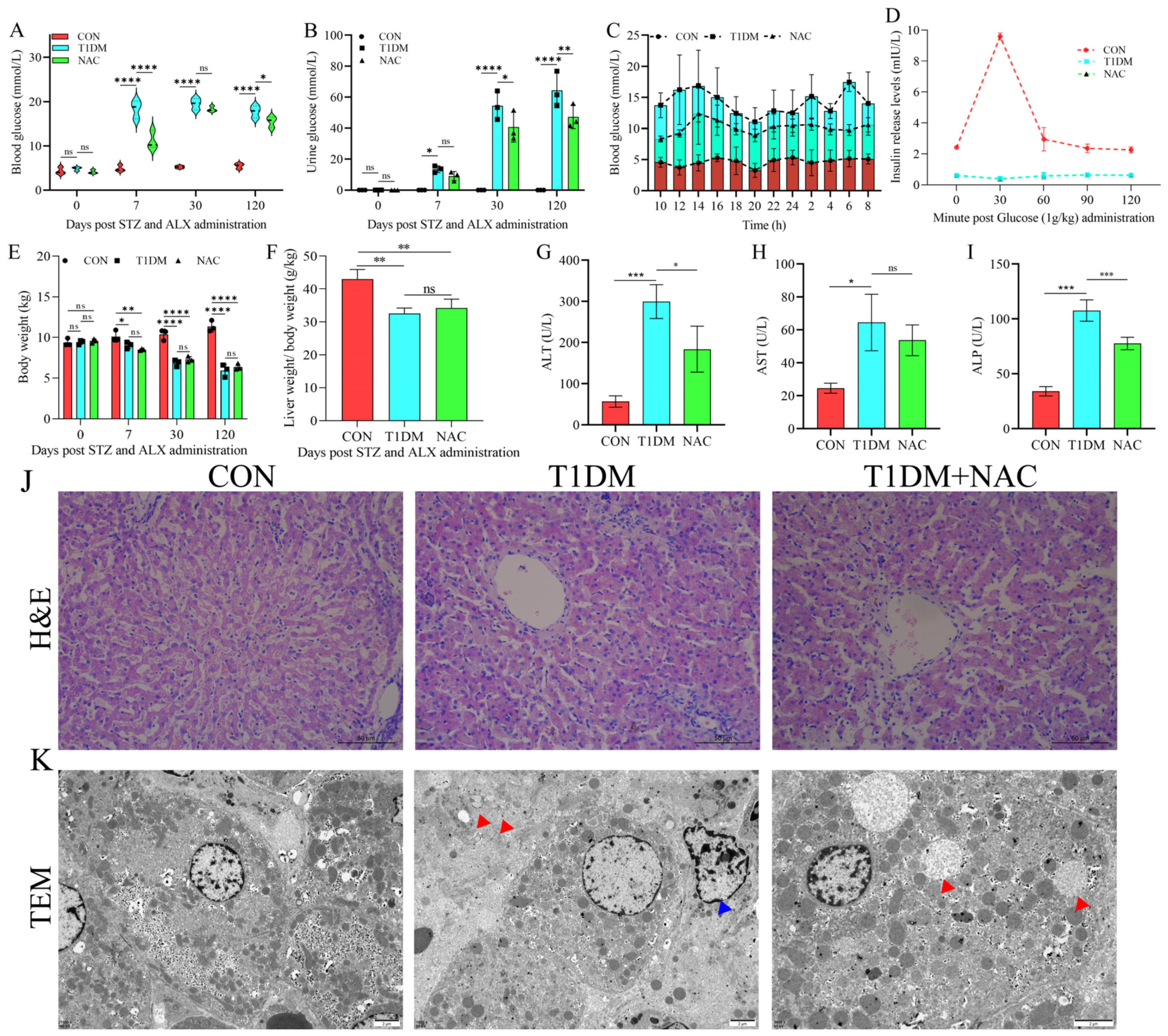 Biomolecules 15 00176 g001