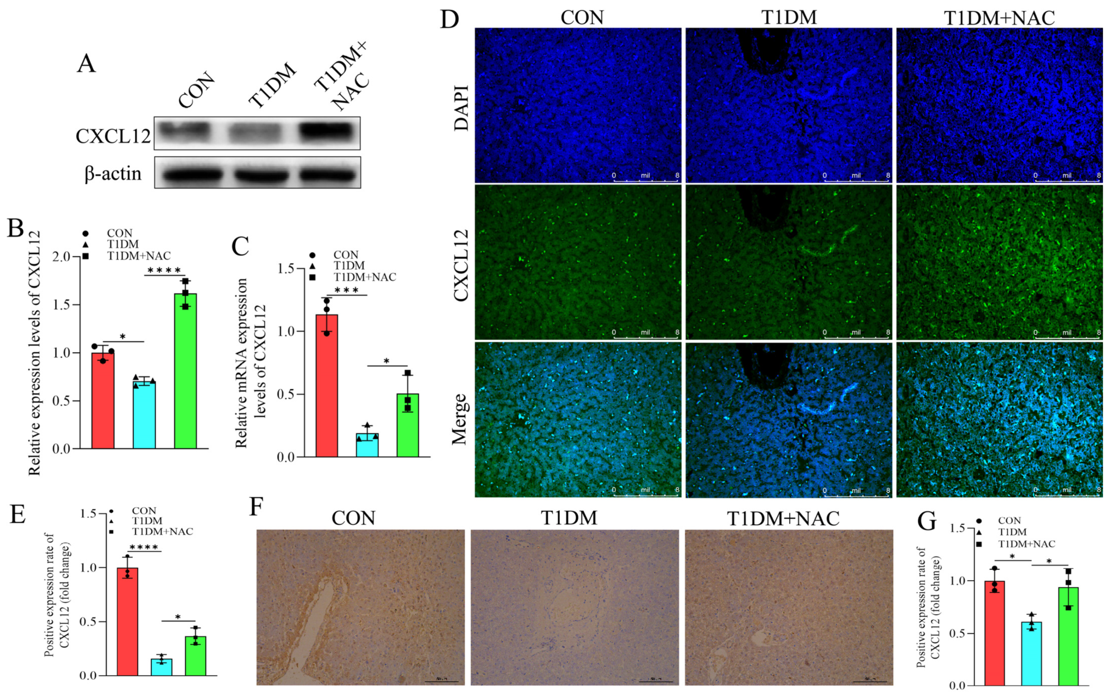 Biomolecules 15 00176 g006