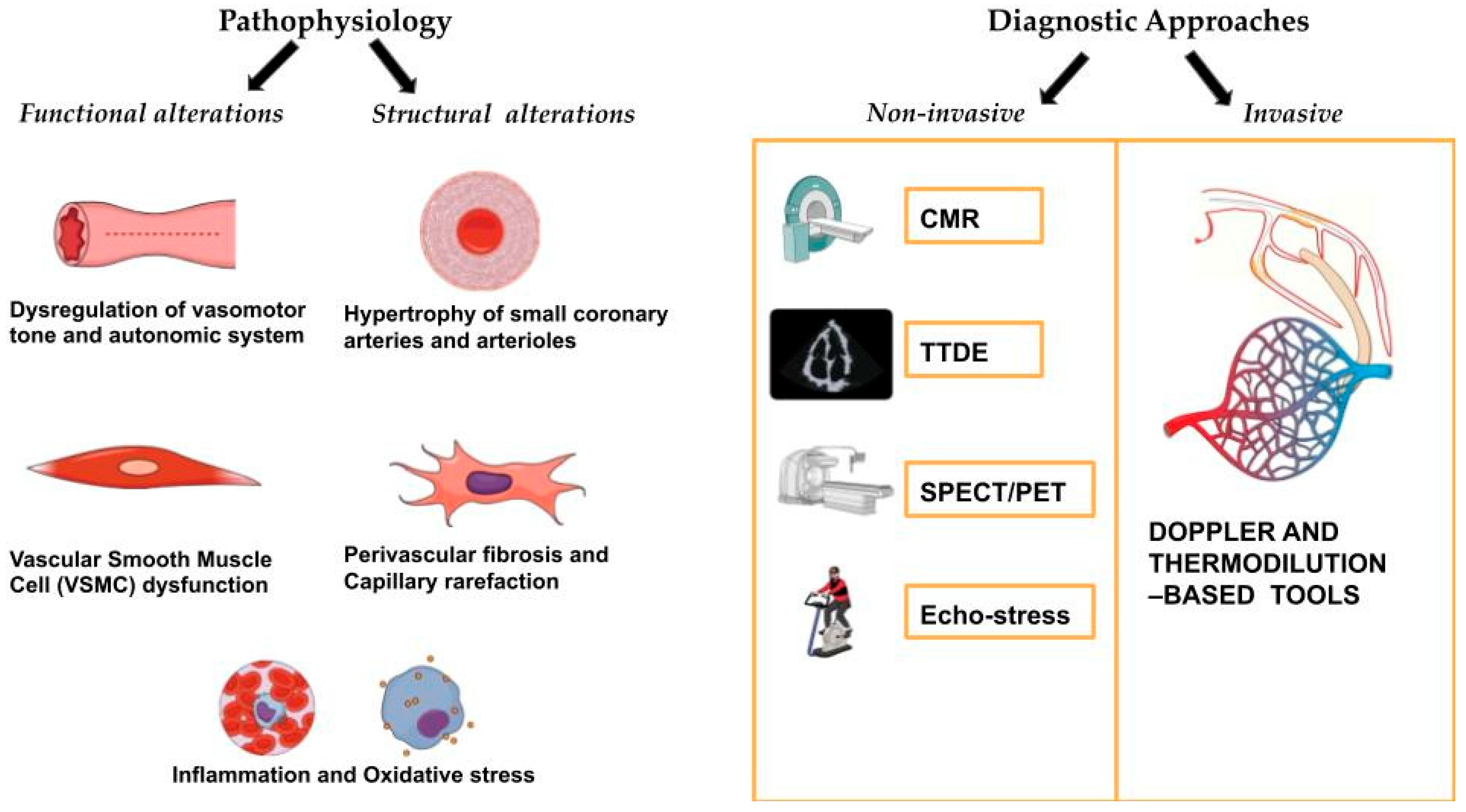 Biomolecules 15 00177 g001 Biomolecules 15 00177 g001