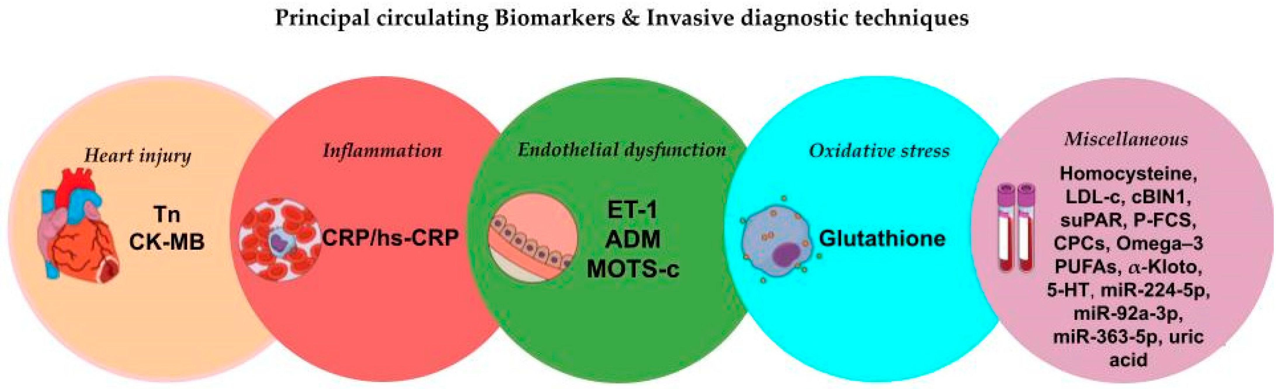 Biomolecules 15 00177 g002 Biomolecules 15 00177 g002