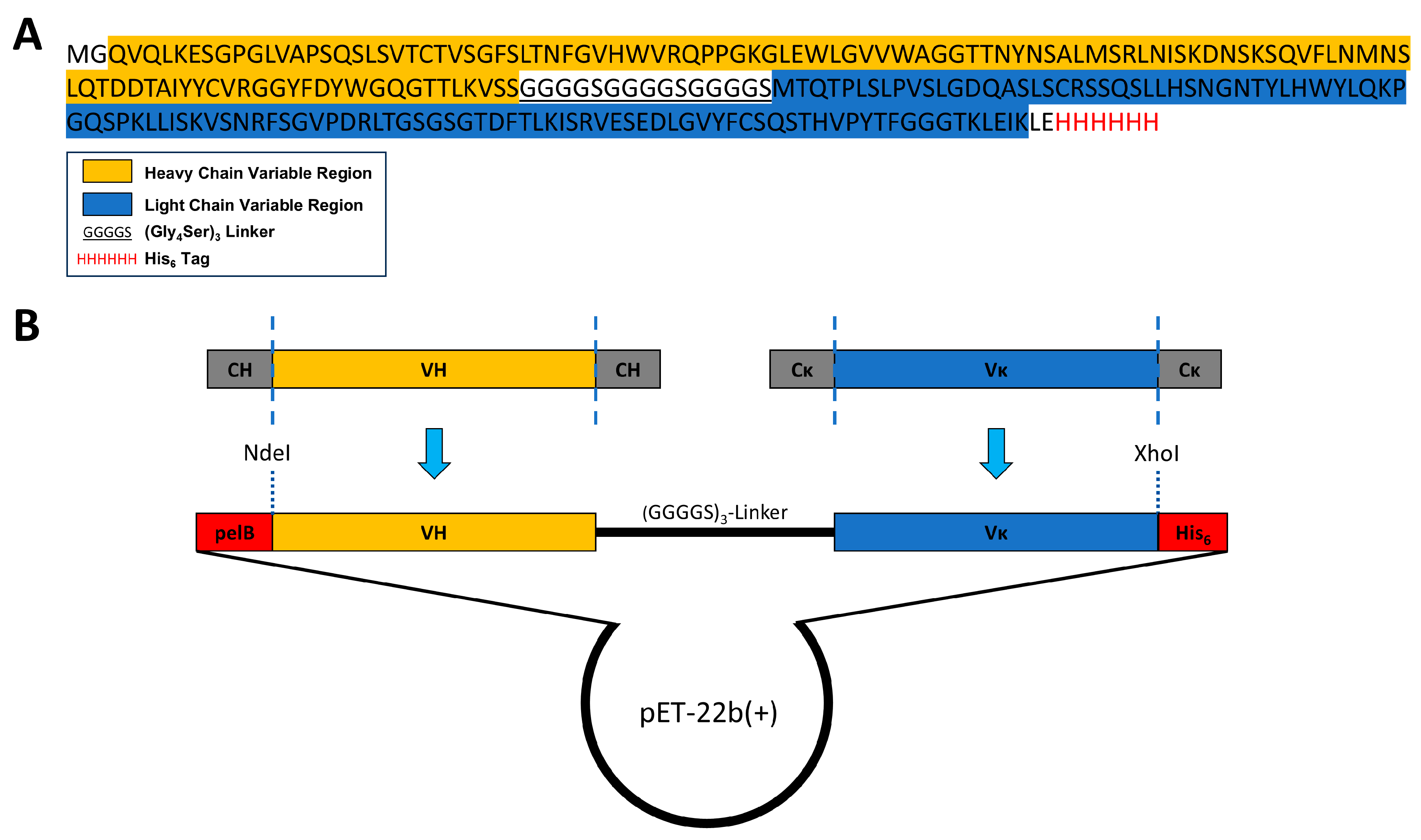 Biomolecules 15 00178 g002