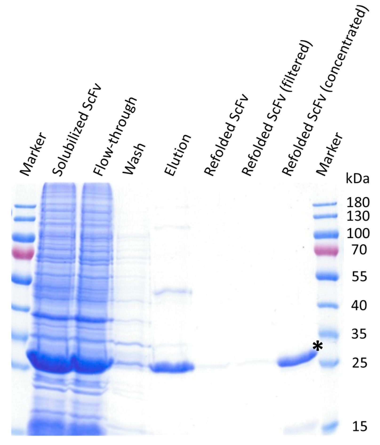 Biomolecules 15 00178 g003