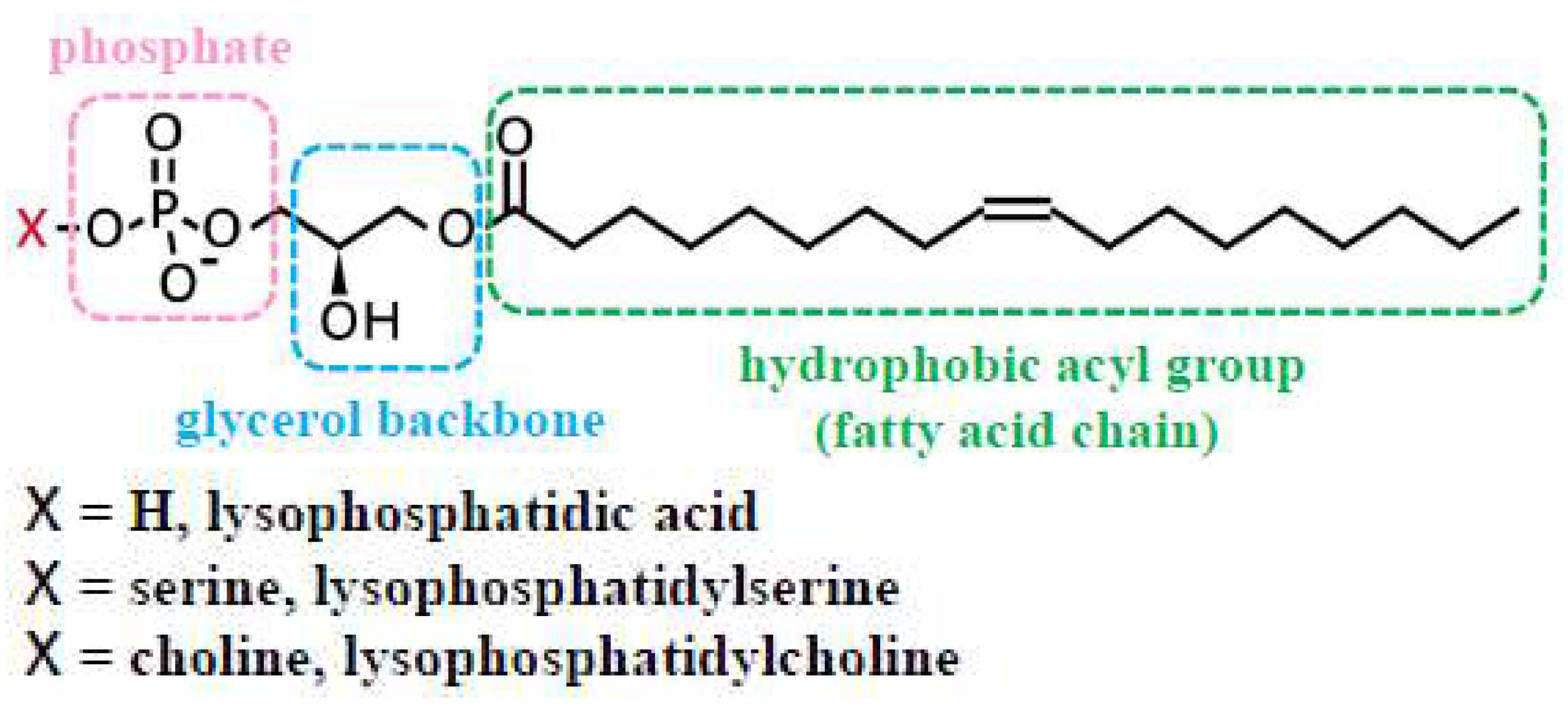 Biomolecules 15 00182 g001