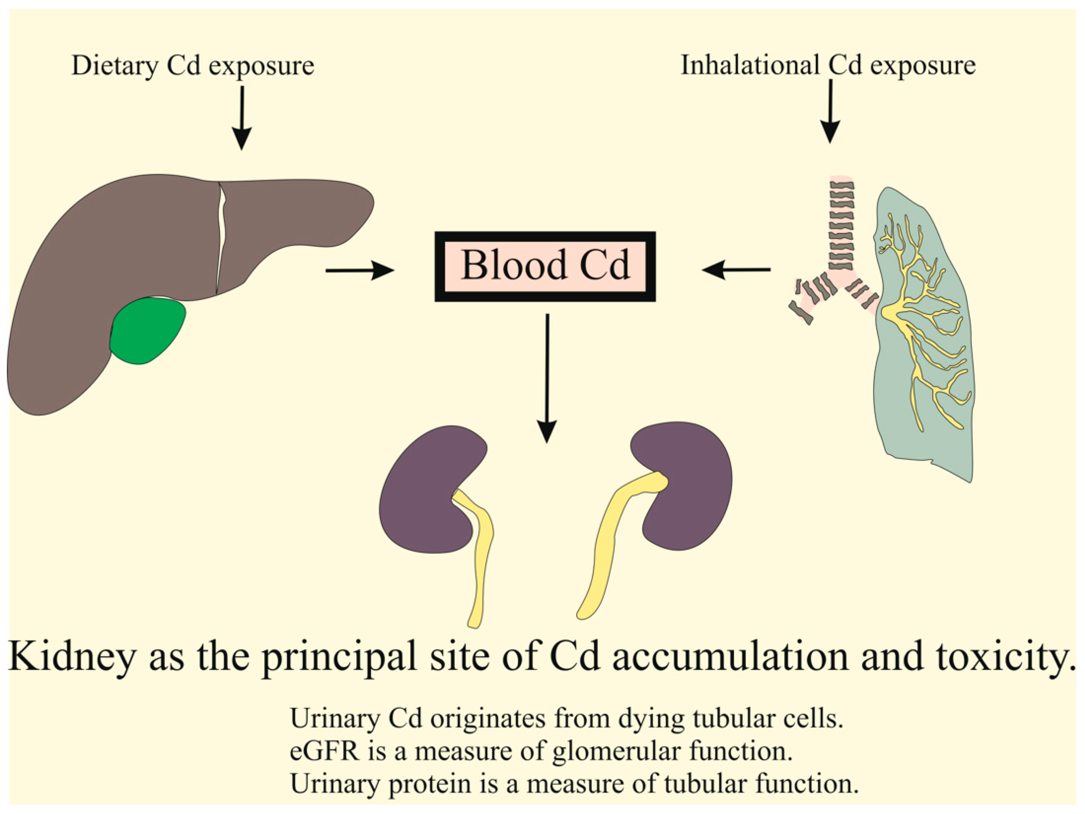 Biomolecules 15 00183 g001 Biomolecules 15 00183 g001