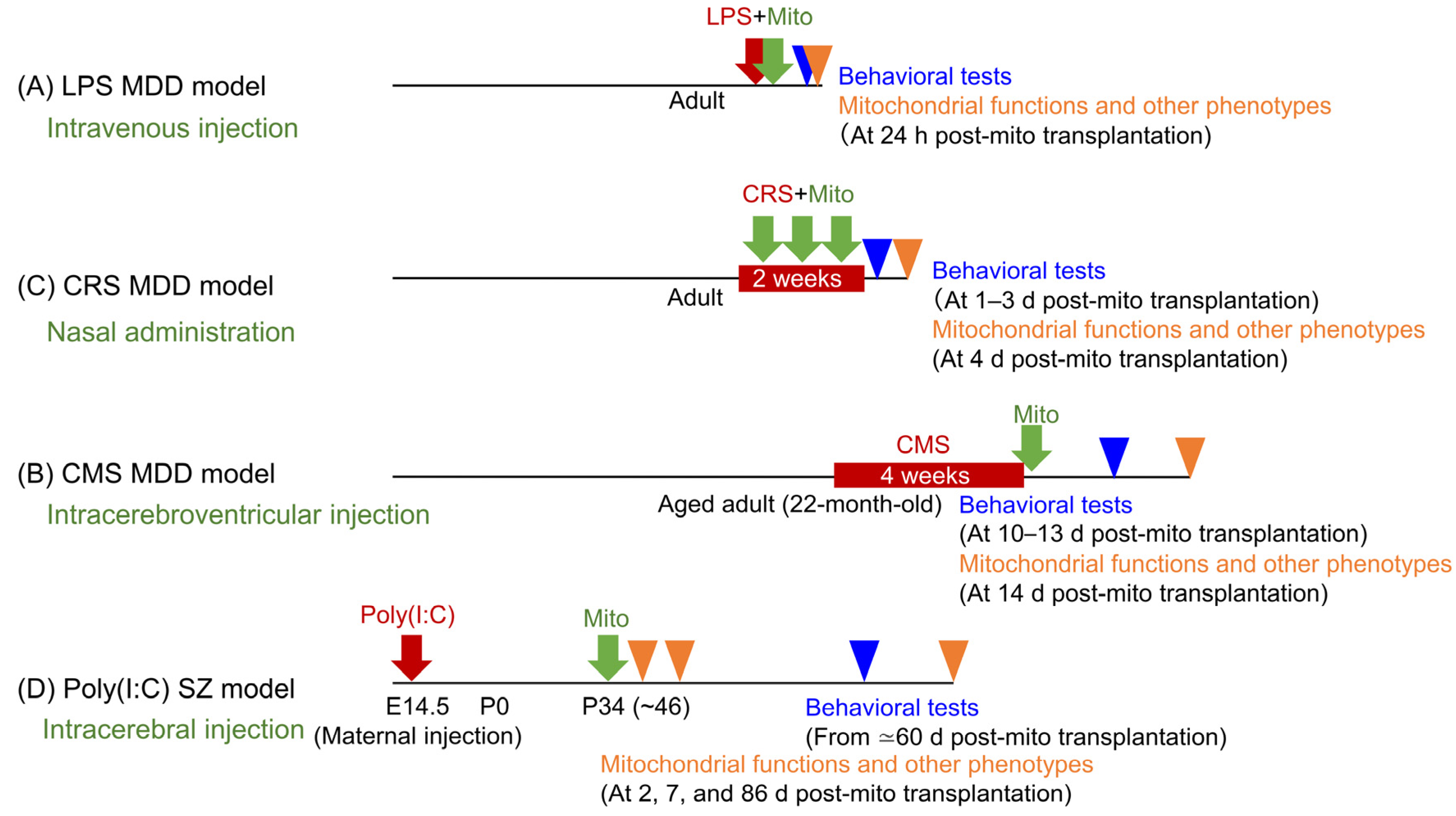 Biomolecules 15 00184 g001