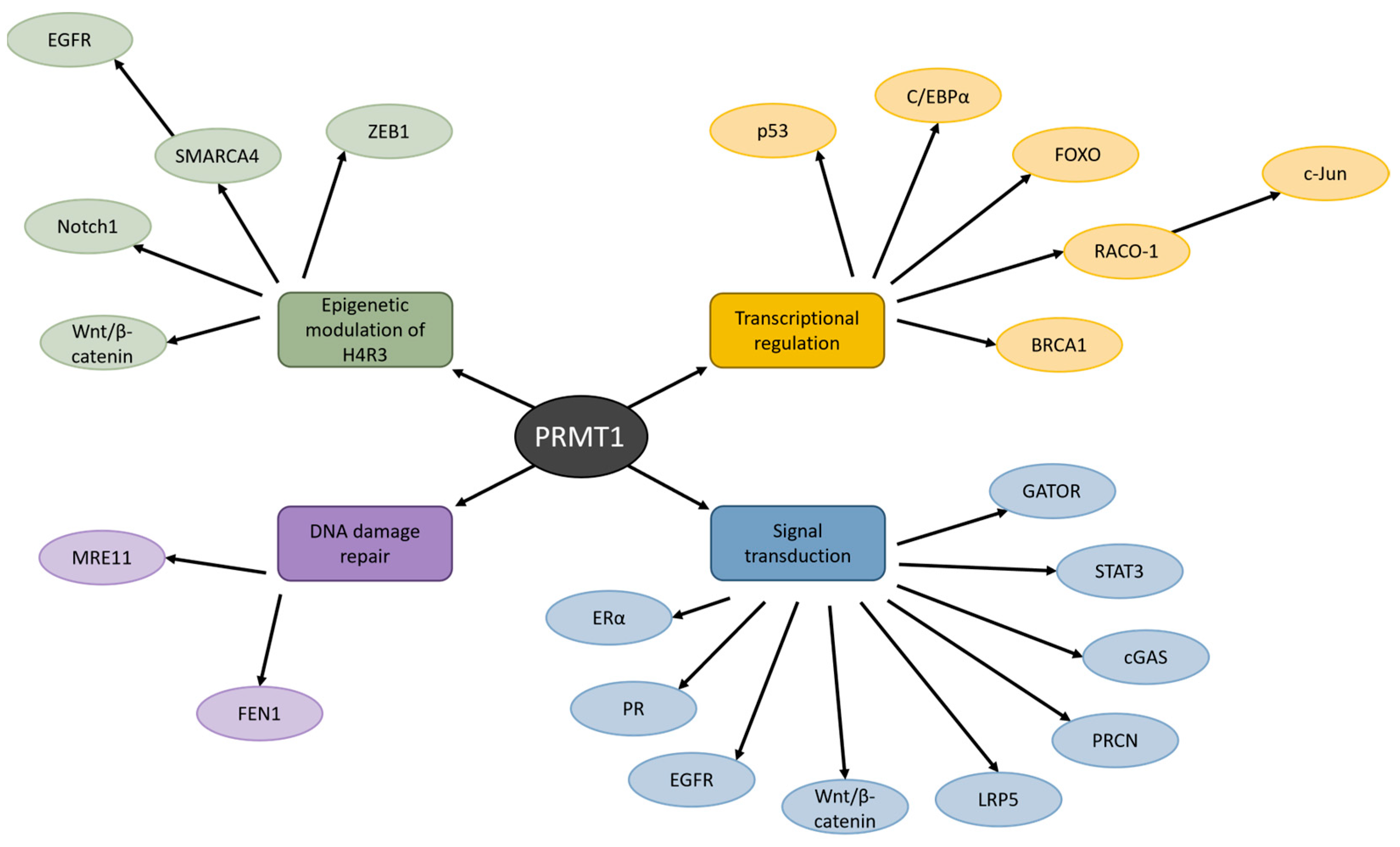 Biomolecules 15 00185 g002