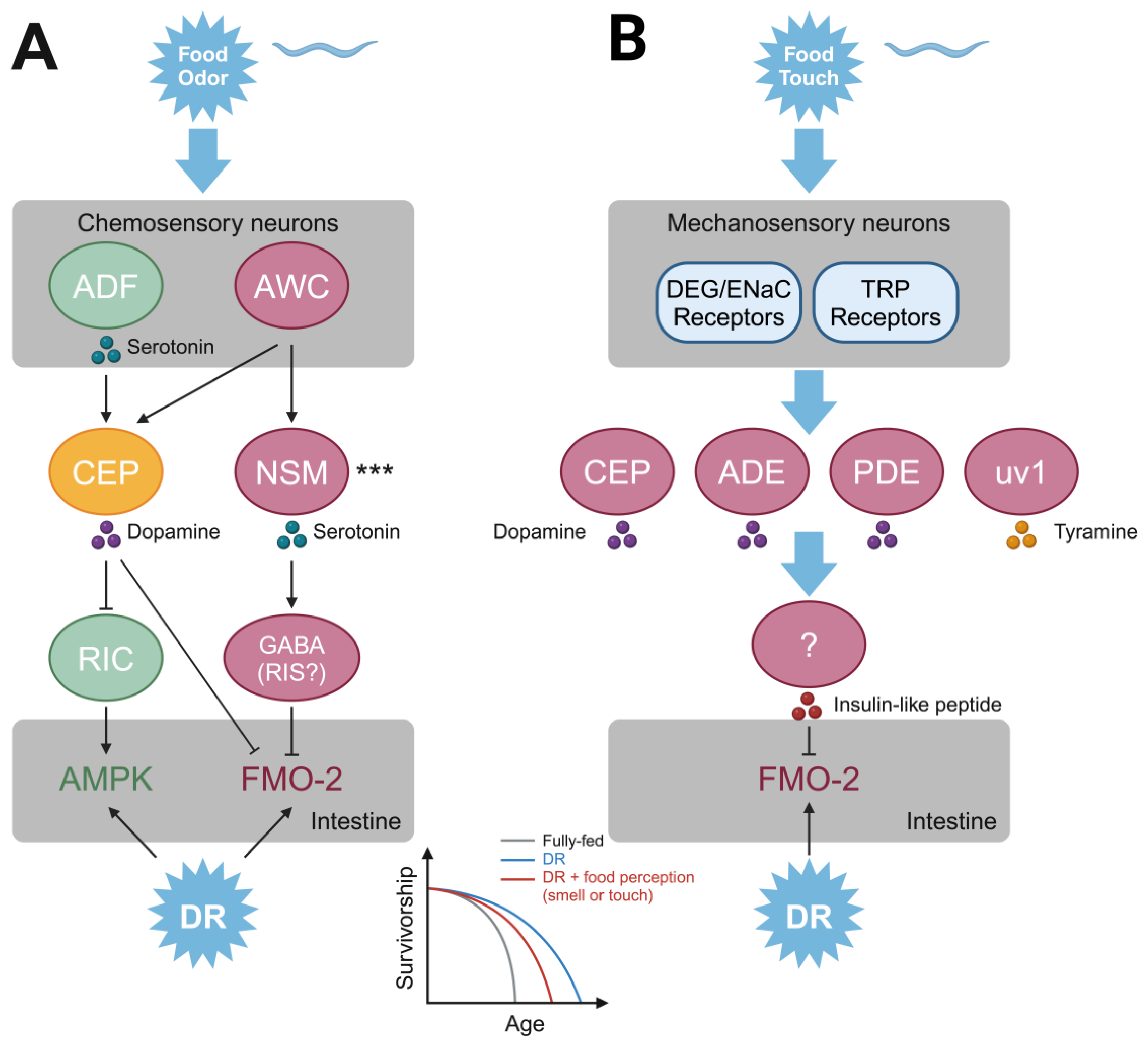 Biomolecules 15 00187 g001