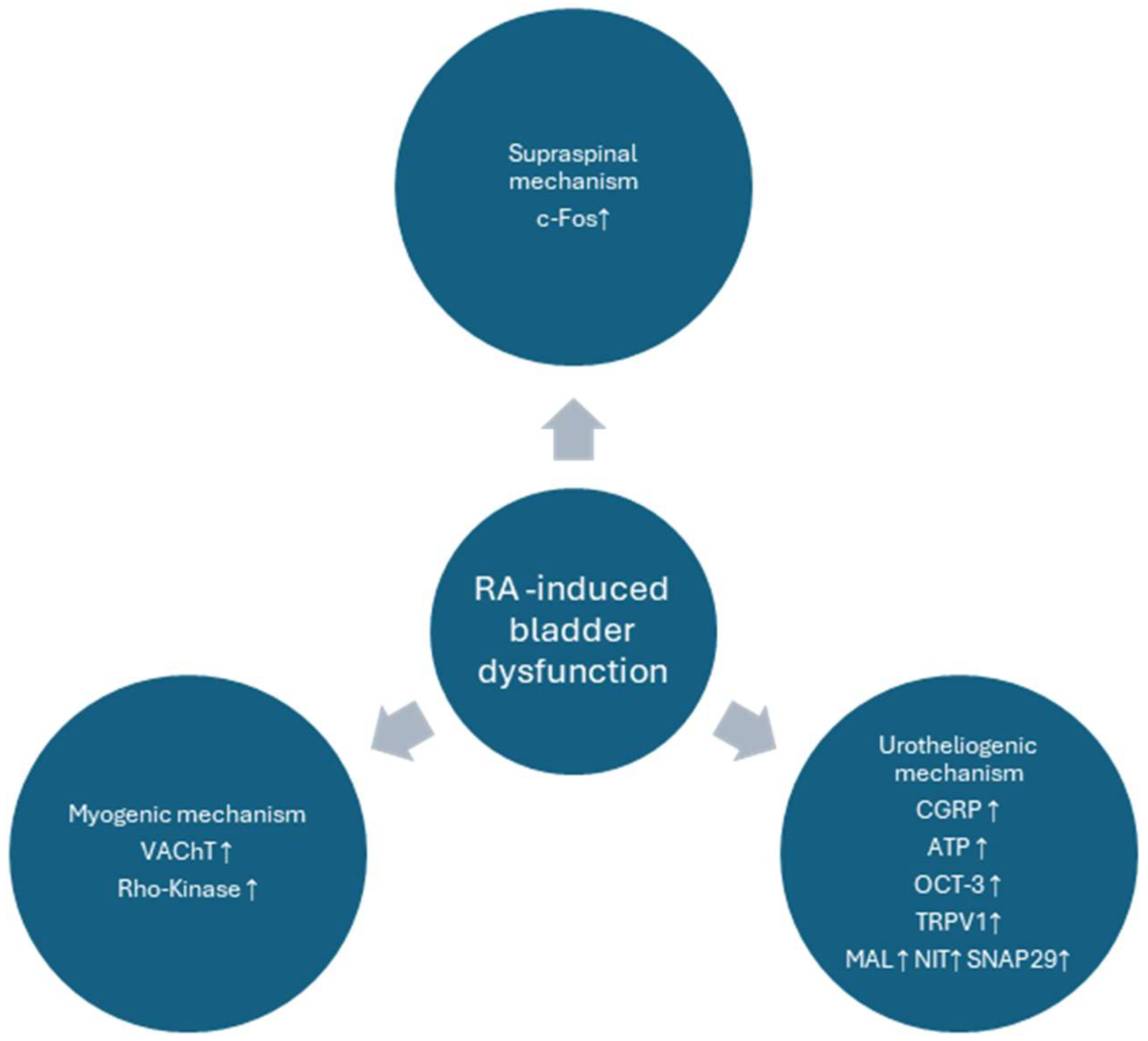 Biomolecules 15 00190 g007