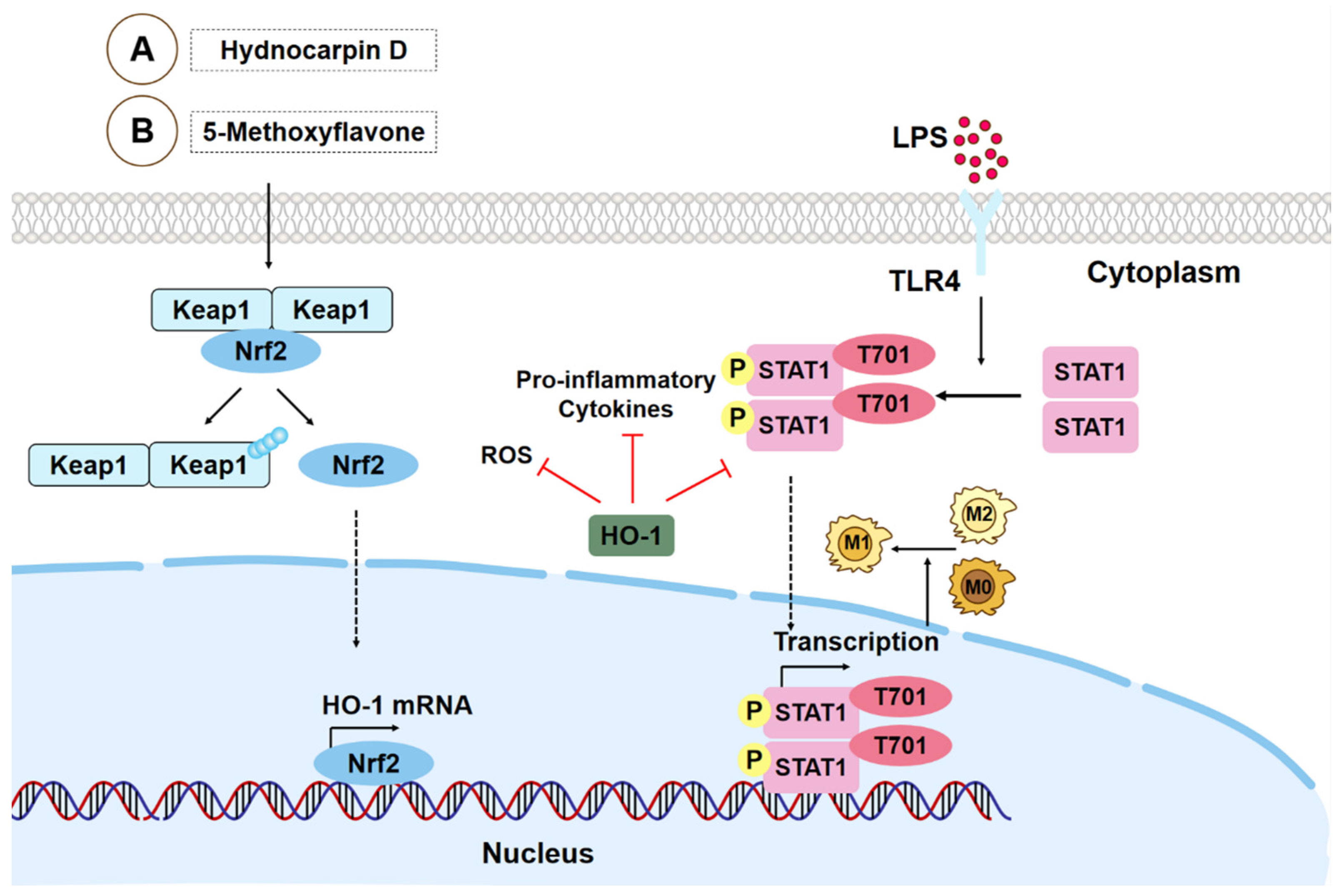 Biomolecules 15 00192 g002