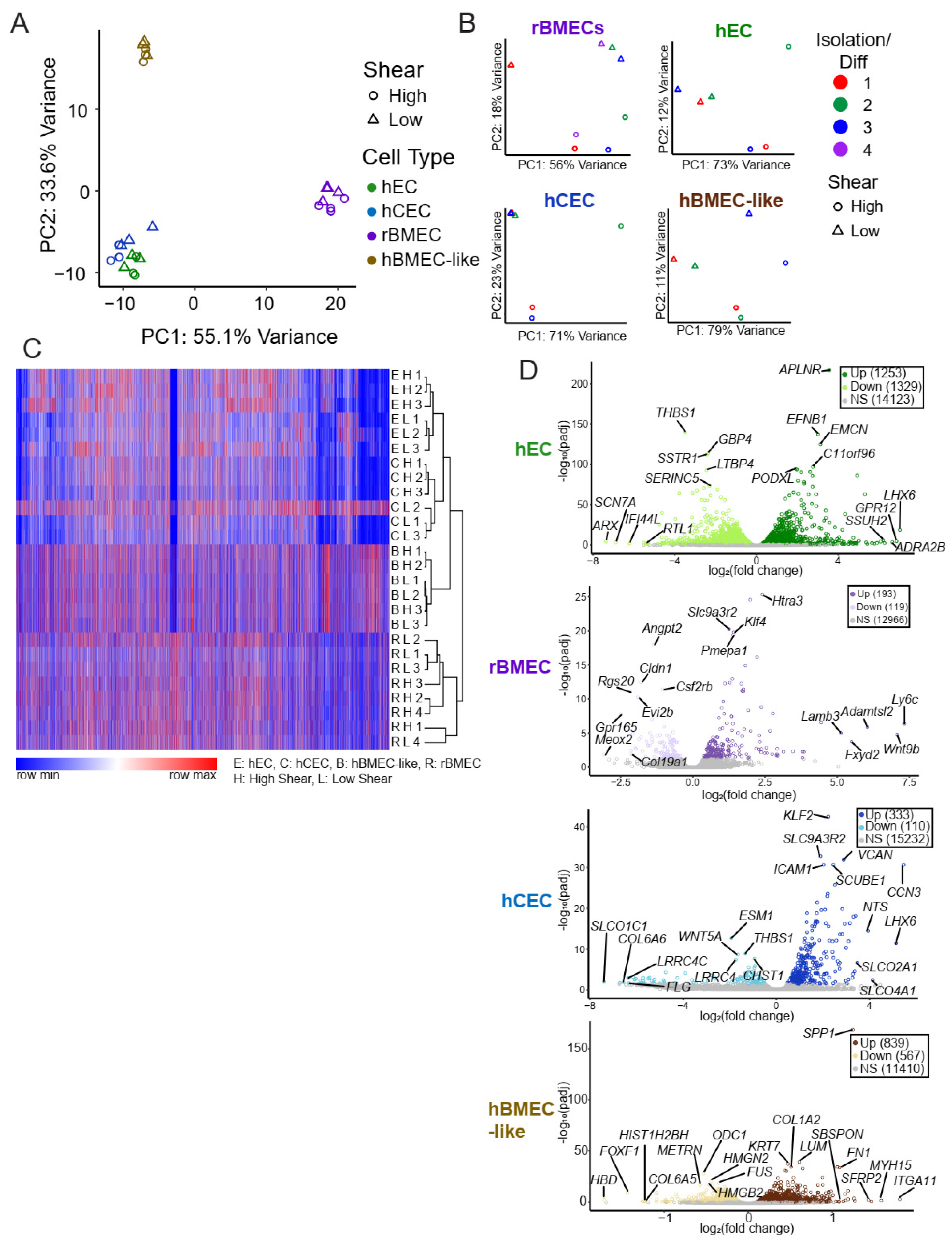 Biomolecules 15 00193 g002
