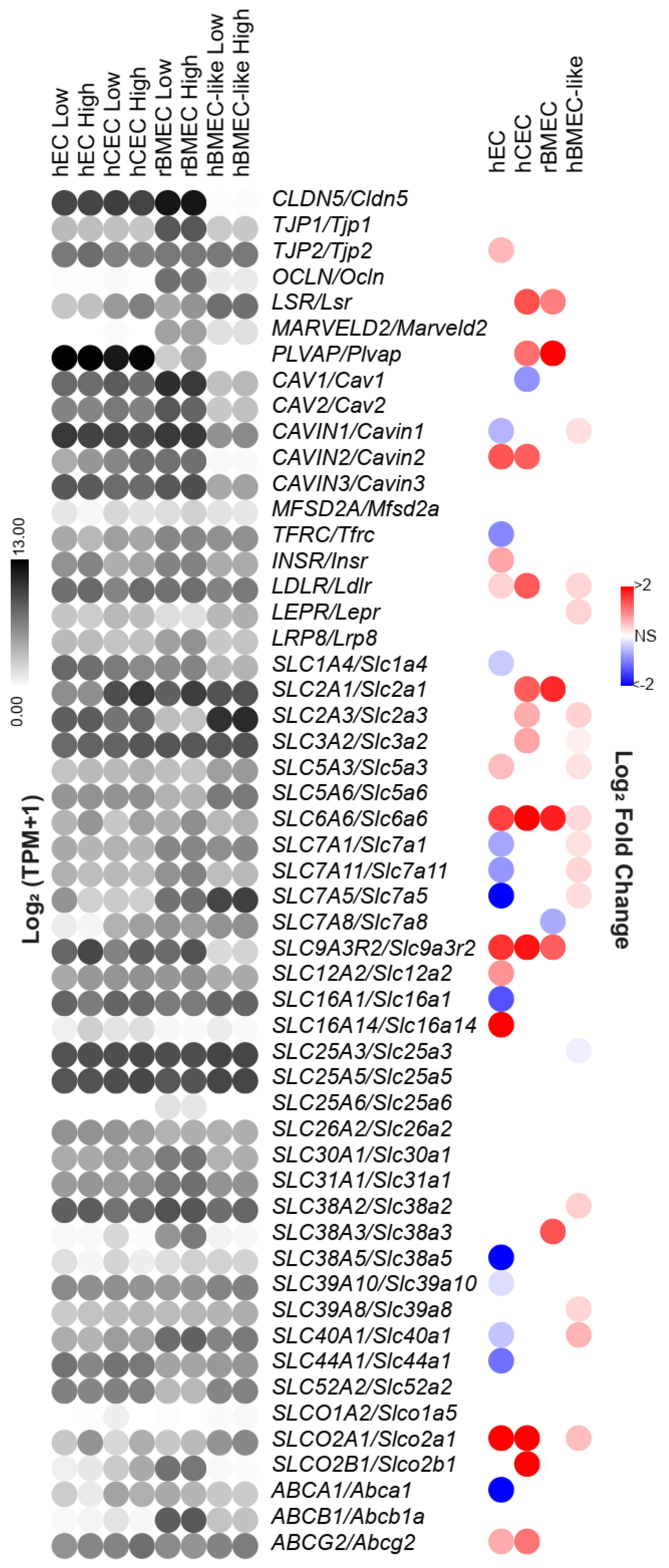 Biomolecules 15 00193 g004