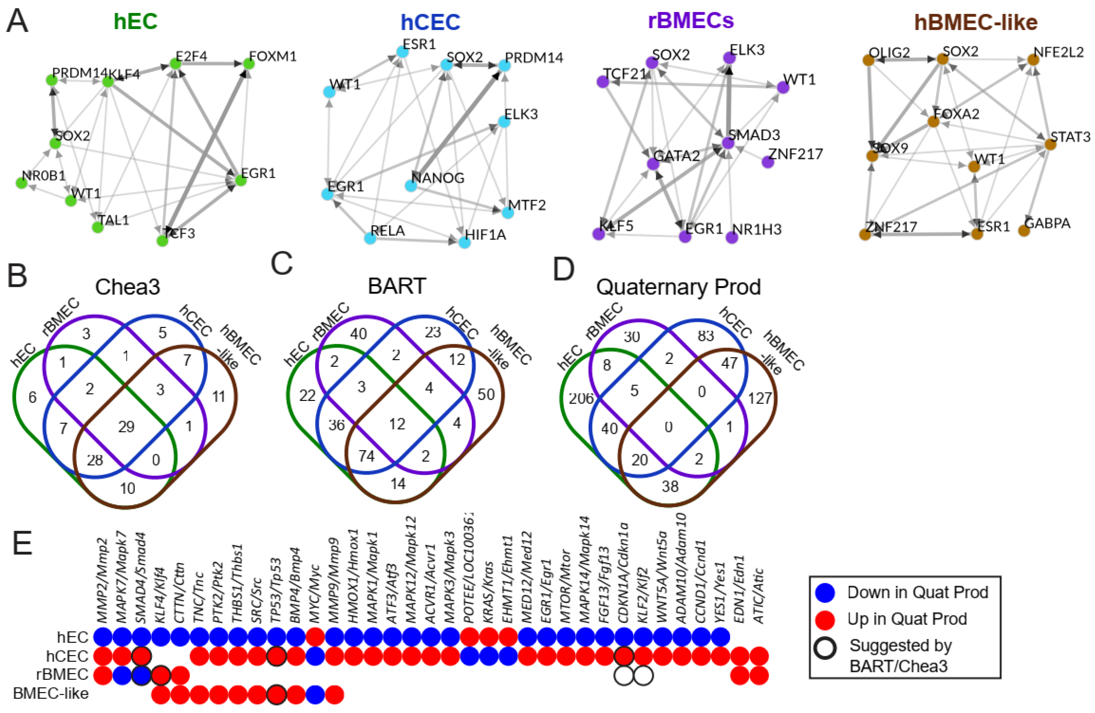 Biomolecules 15 00193 g005