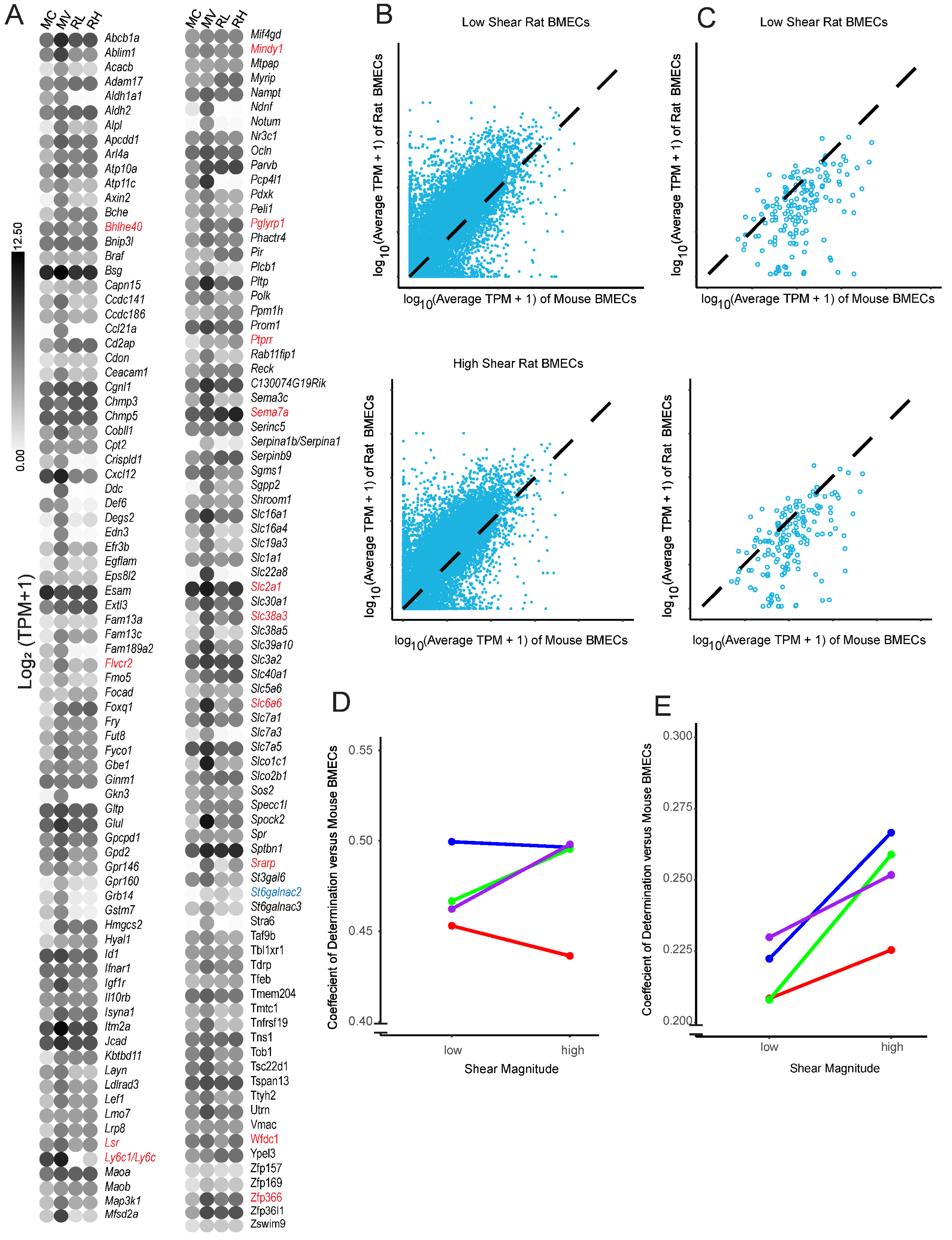 Biomolecules 15 00193 g006