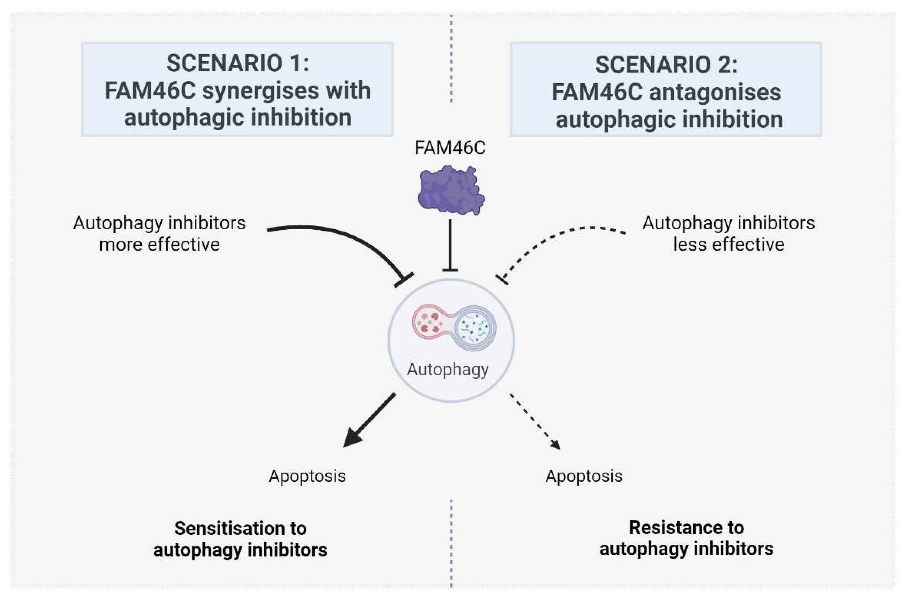 Biomolecules 15 00196 g001