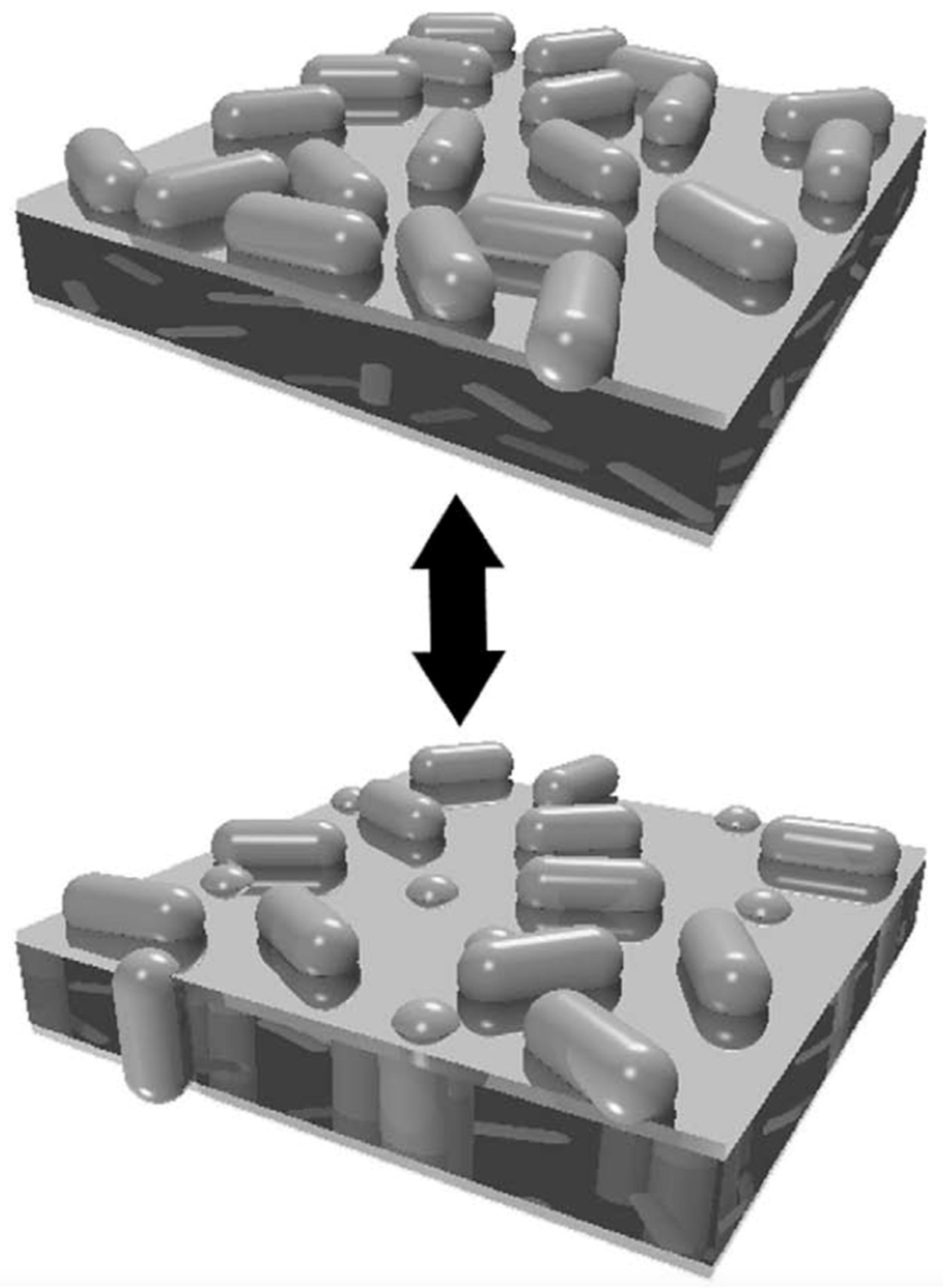 Biomolecules 15 00198 g003 Biomolecules 15 00198 g003