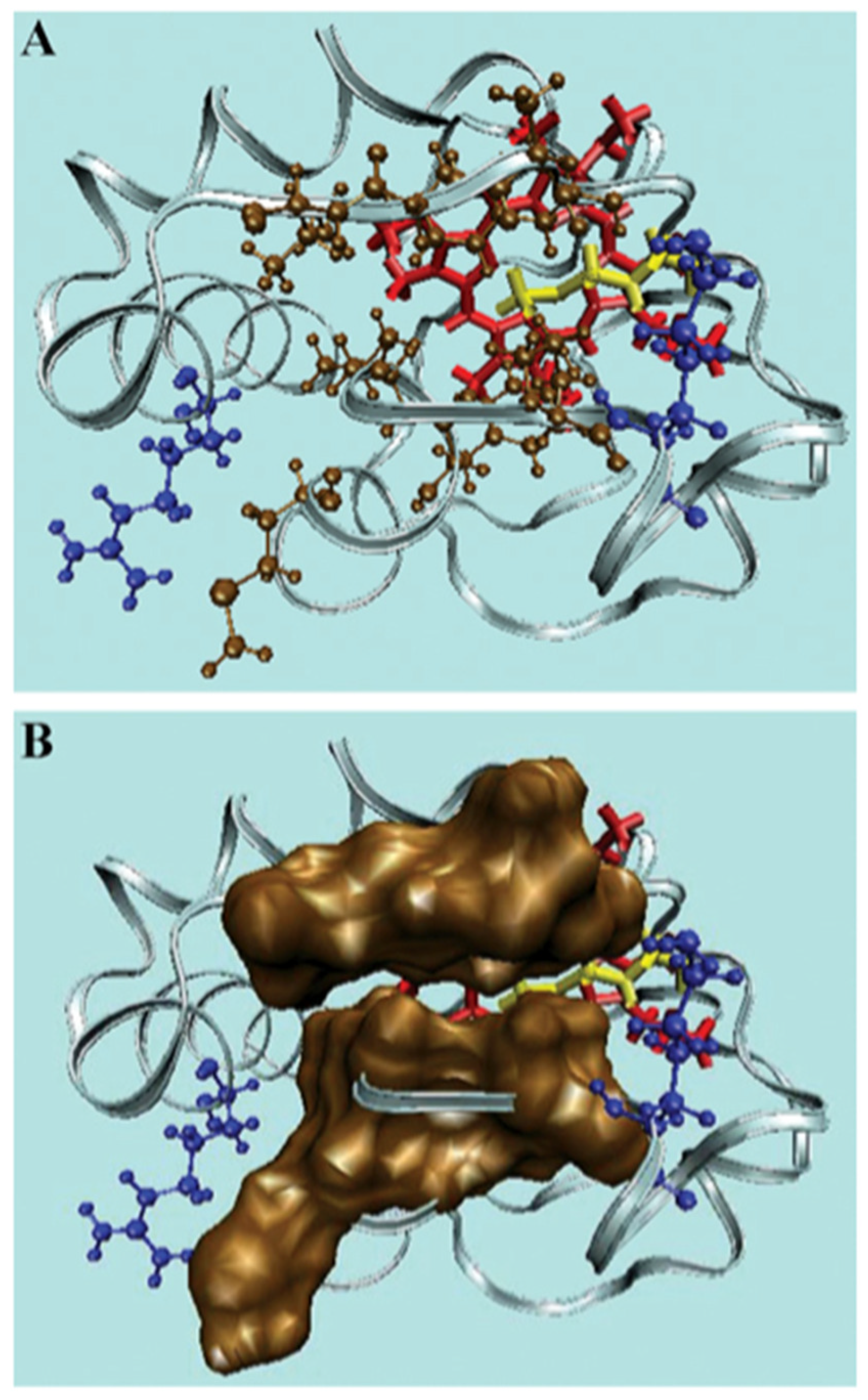 Biomolecules 15 00198 g016 Biomolecules 15 00198 g016