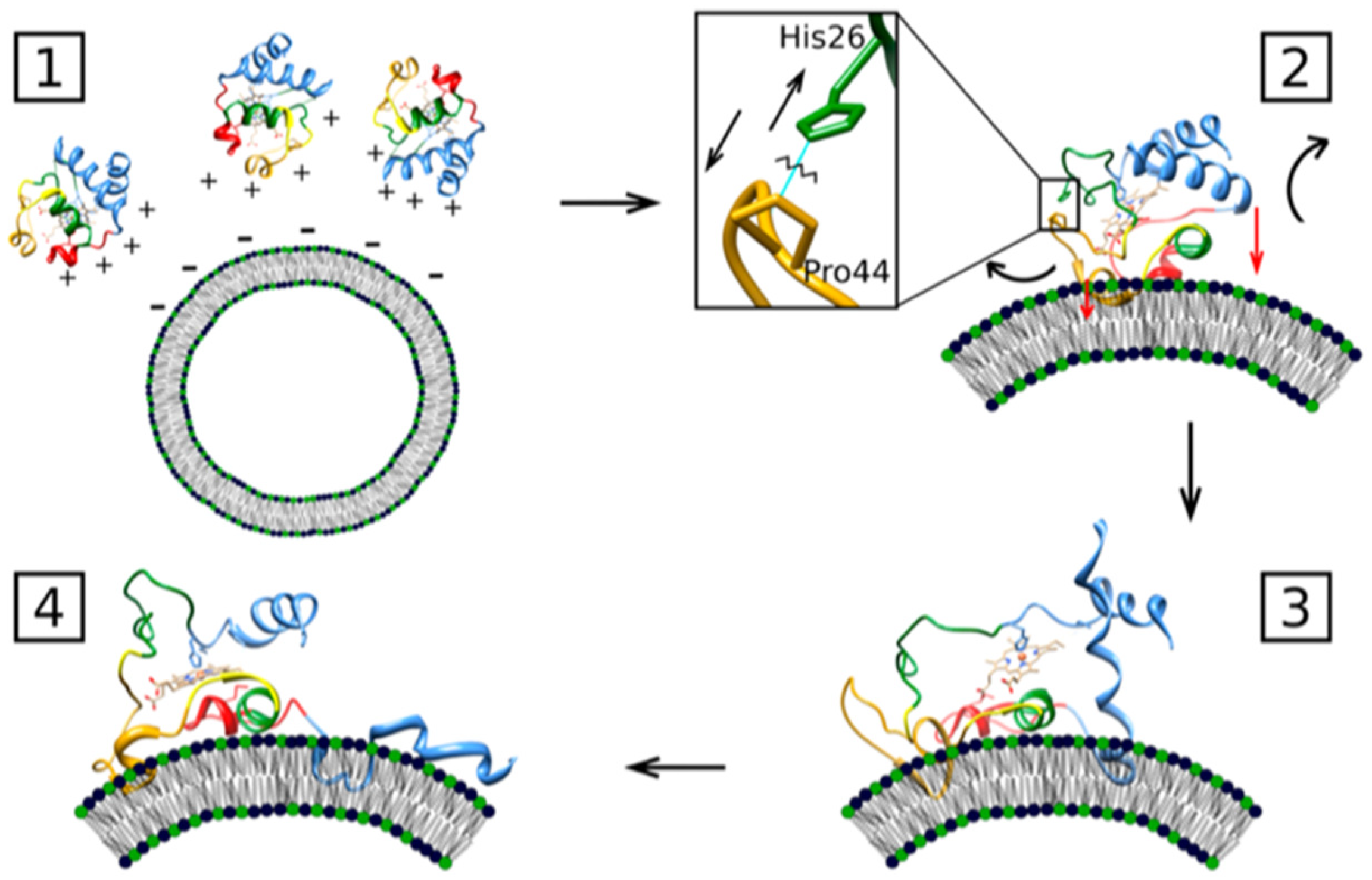 Biomolecules 15 00198 g018 Biomolecules 15 00198 g018