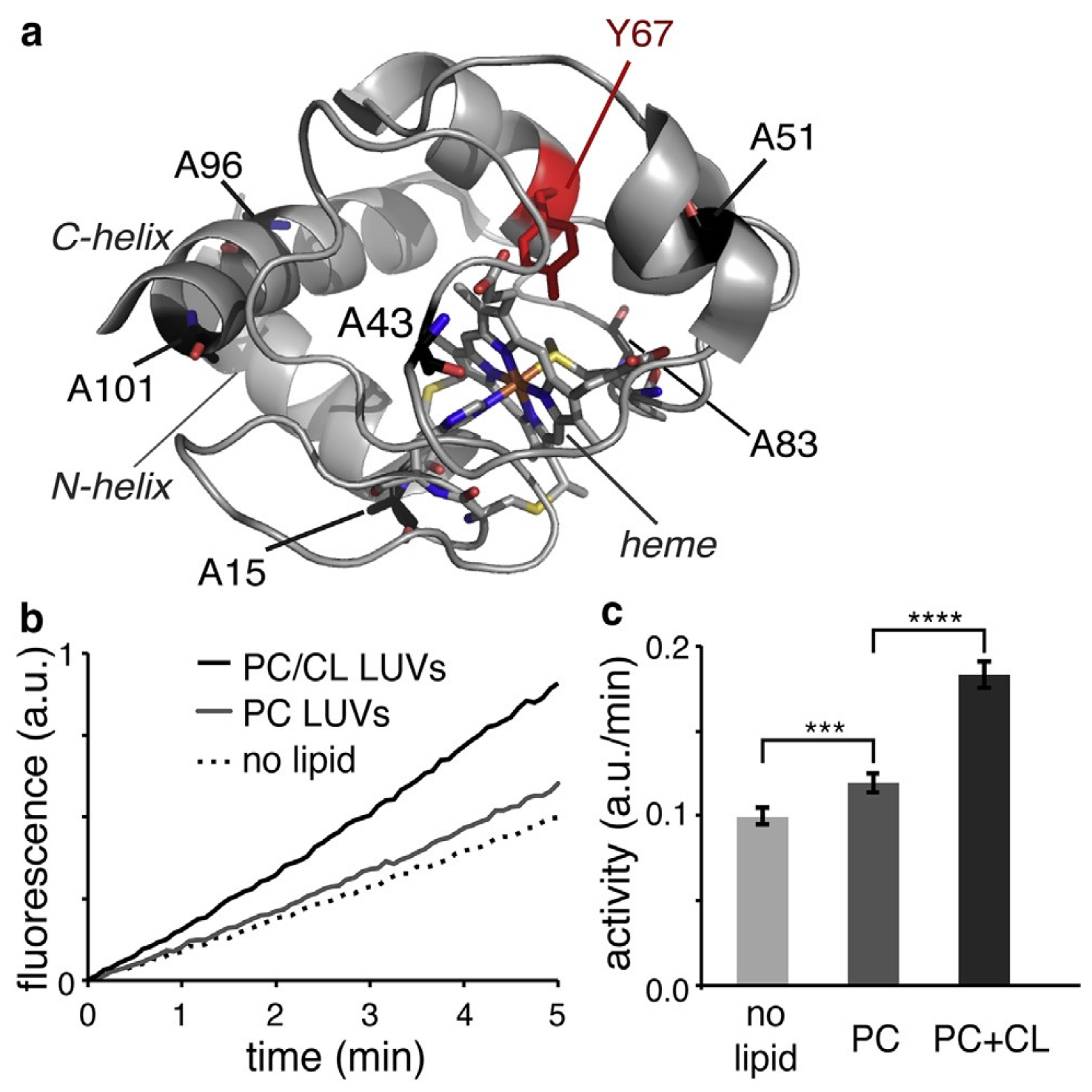 Biomolecules 15 00198 g026 Biomolecules 15 00198 g026