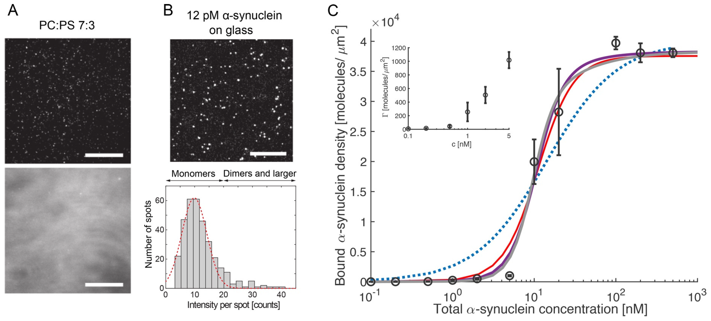 Biomolecules 15 00198 g031 Biomolecules 15 00198 g031