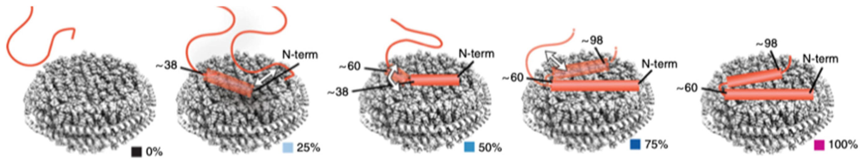 Biomolecules 15 00198 g033 Biomolecules 15 00198 g033