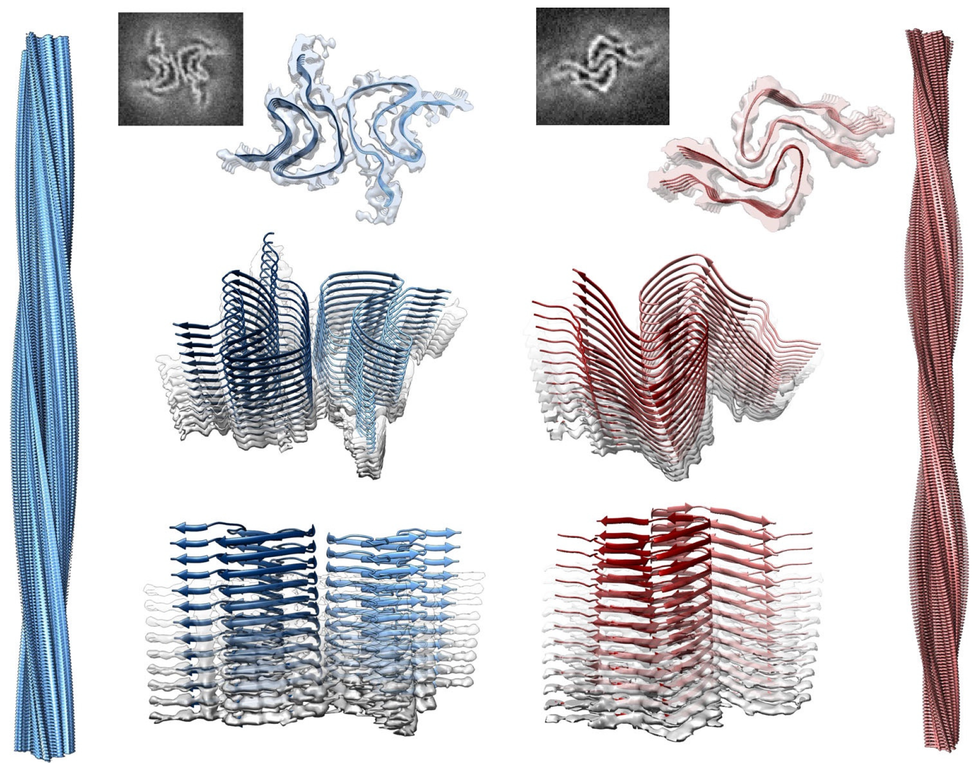 Biomolecules 15 00198 g036 Biomolecules 15 00198 g036