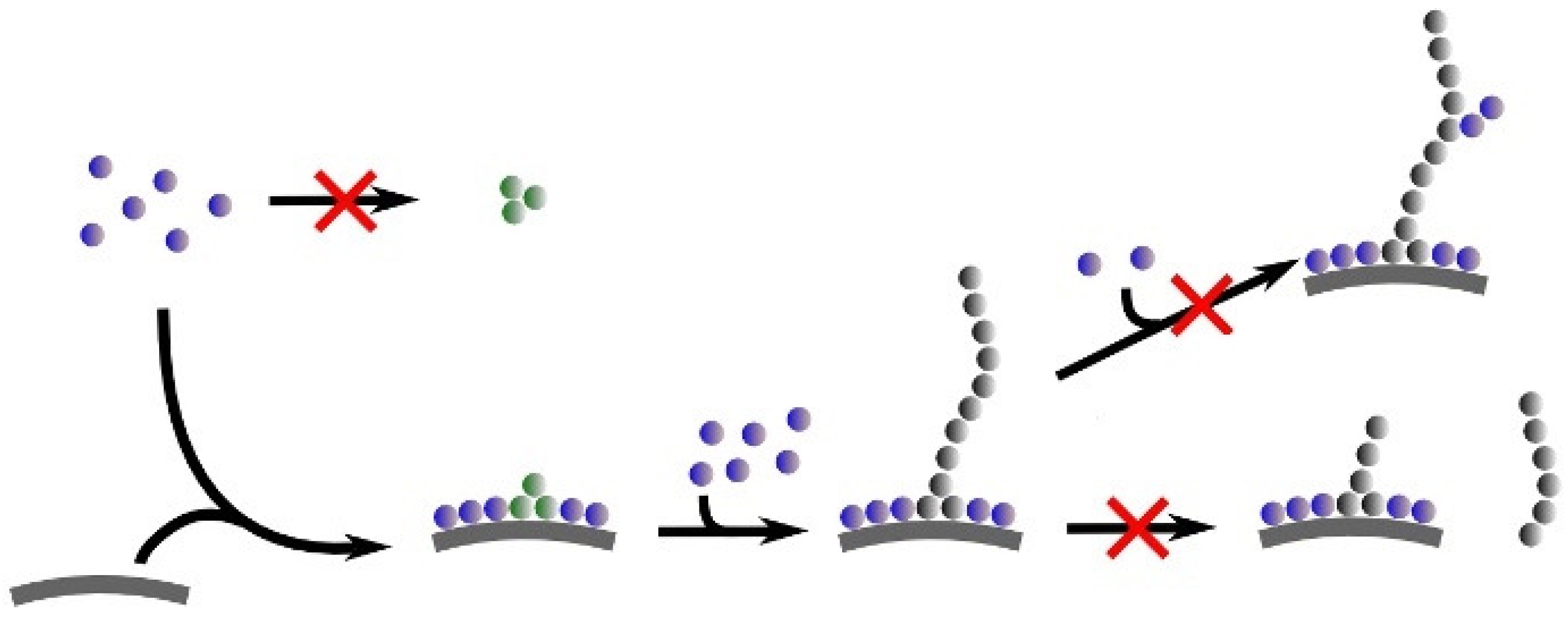 Biomolecules 15 00198 g040 Biomolecules 15 00198 g040