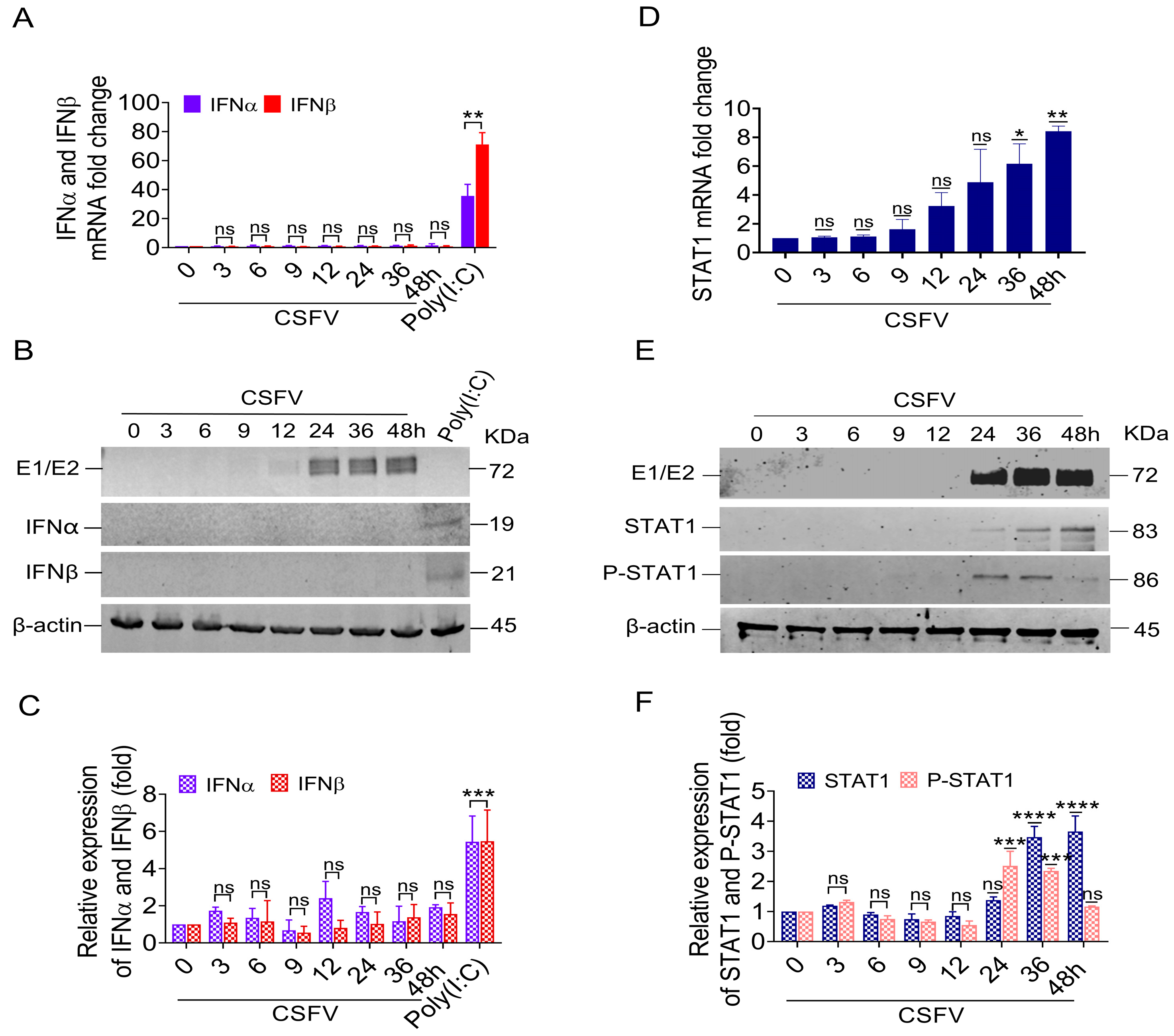 Biomolecules 15 00200 g001
