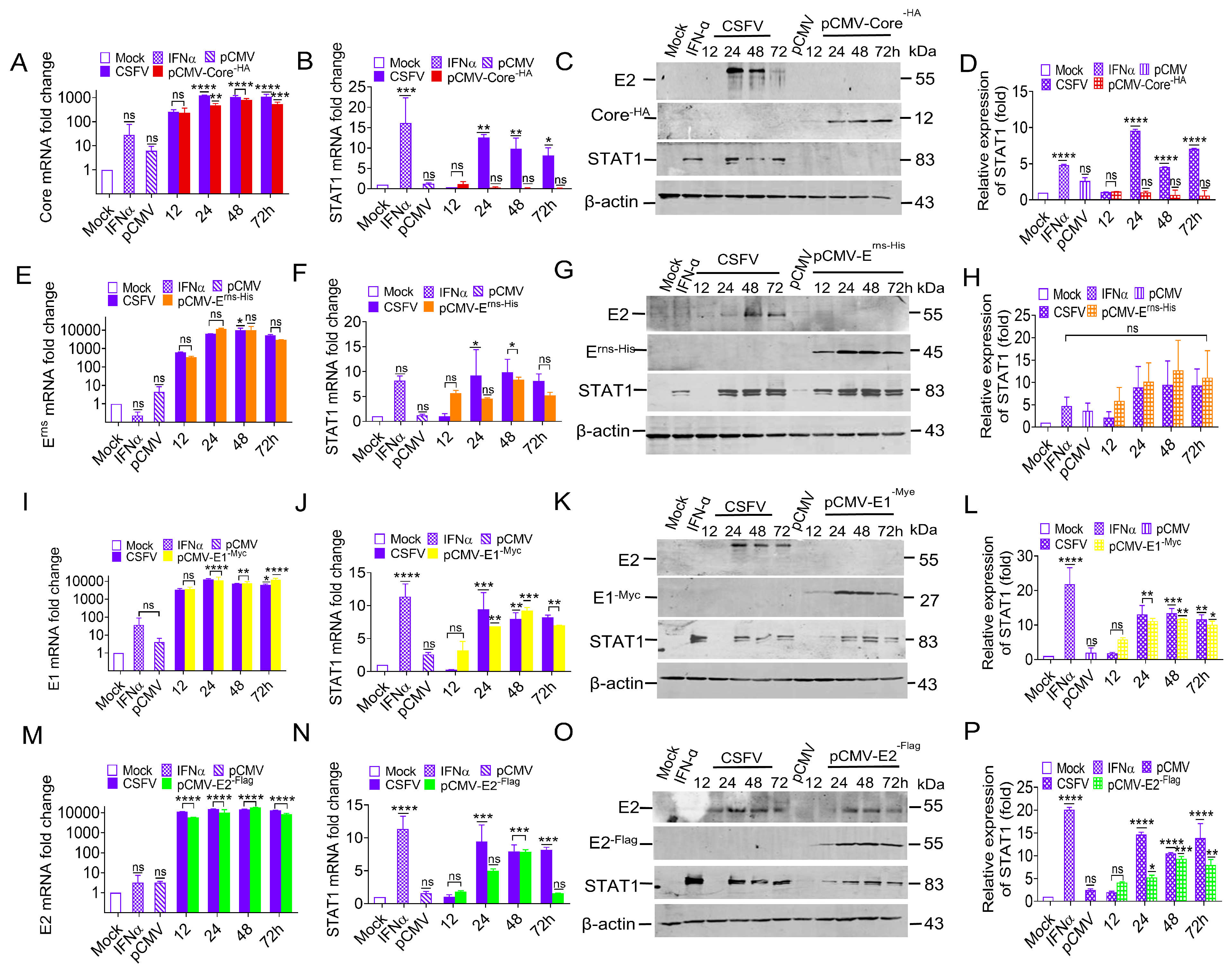 Biomolecules 15 00200 g003