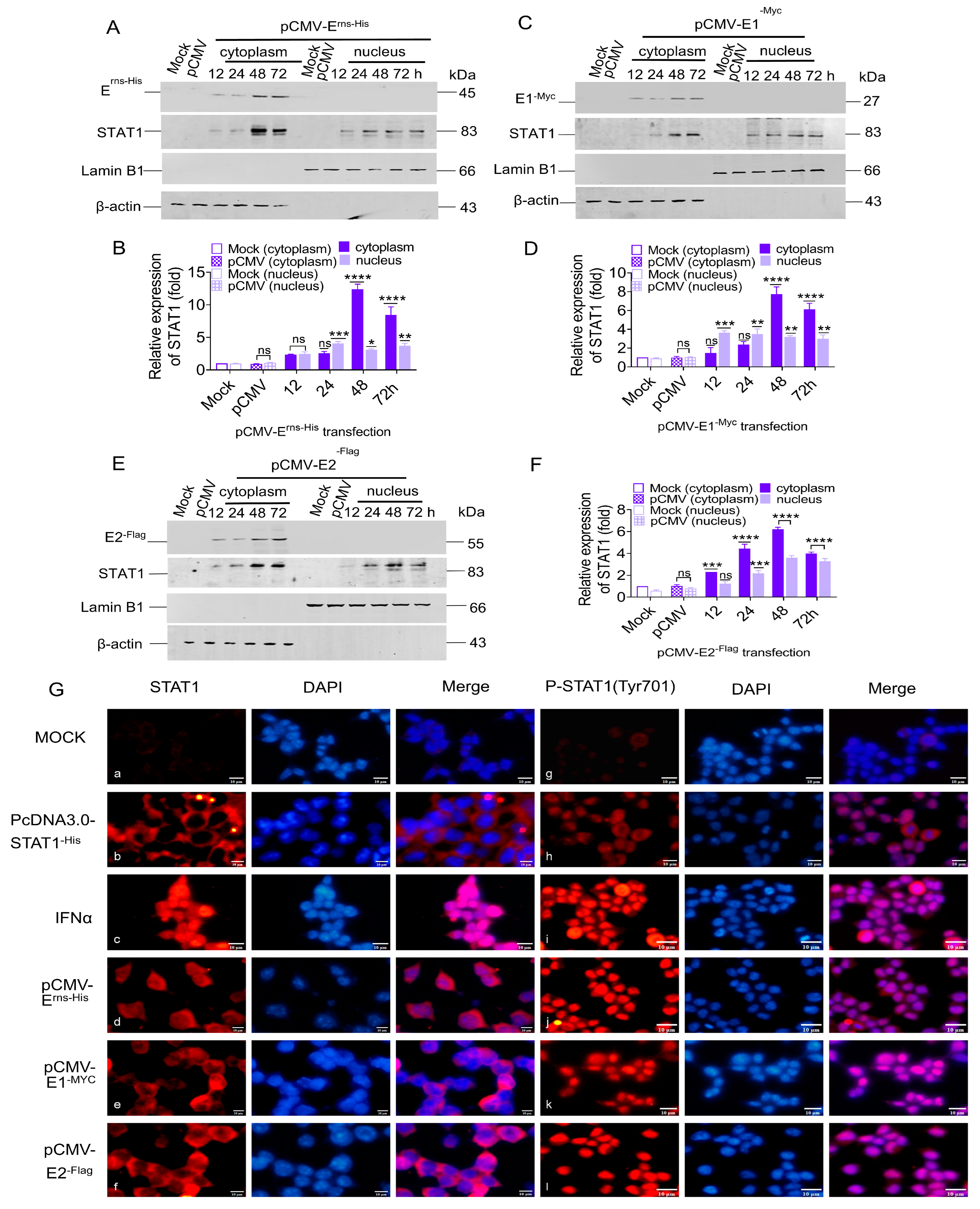 Biomolecules 15 00200 g004