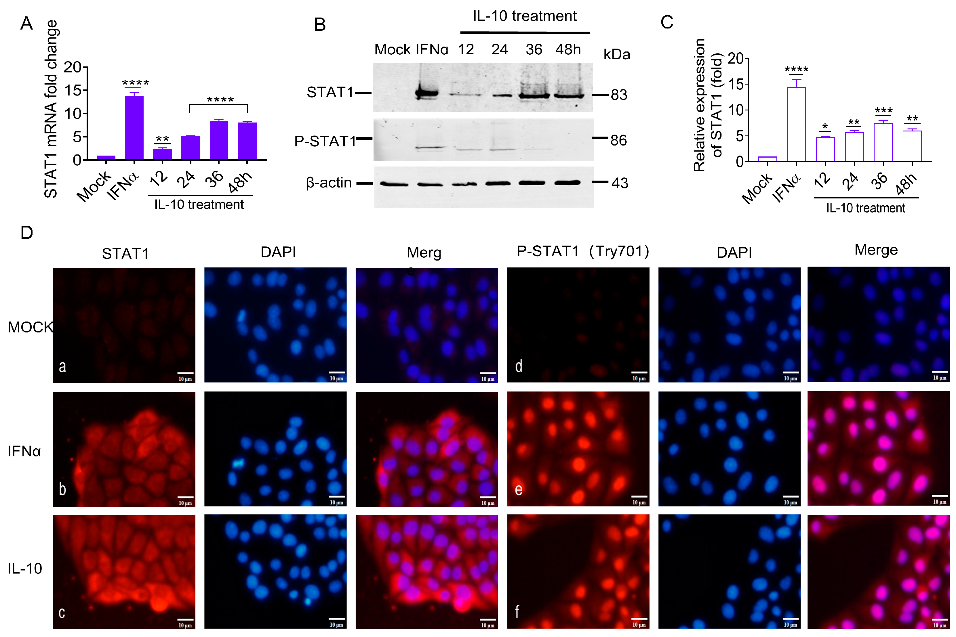 Biomolecules 15 00200 g007