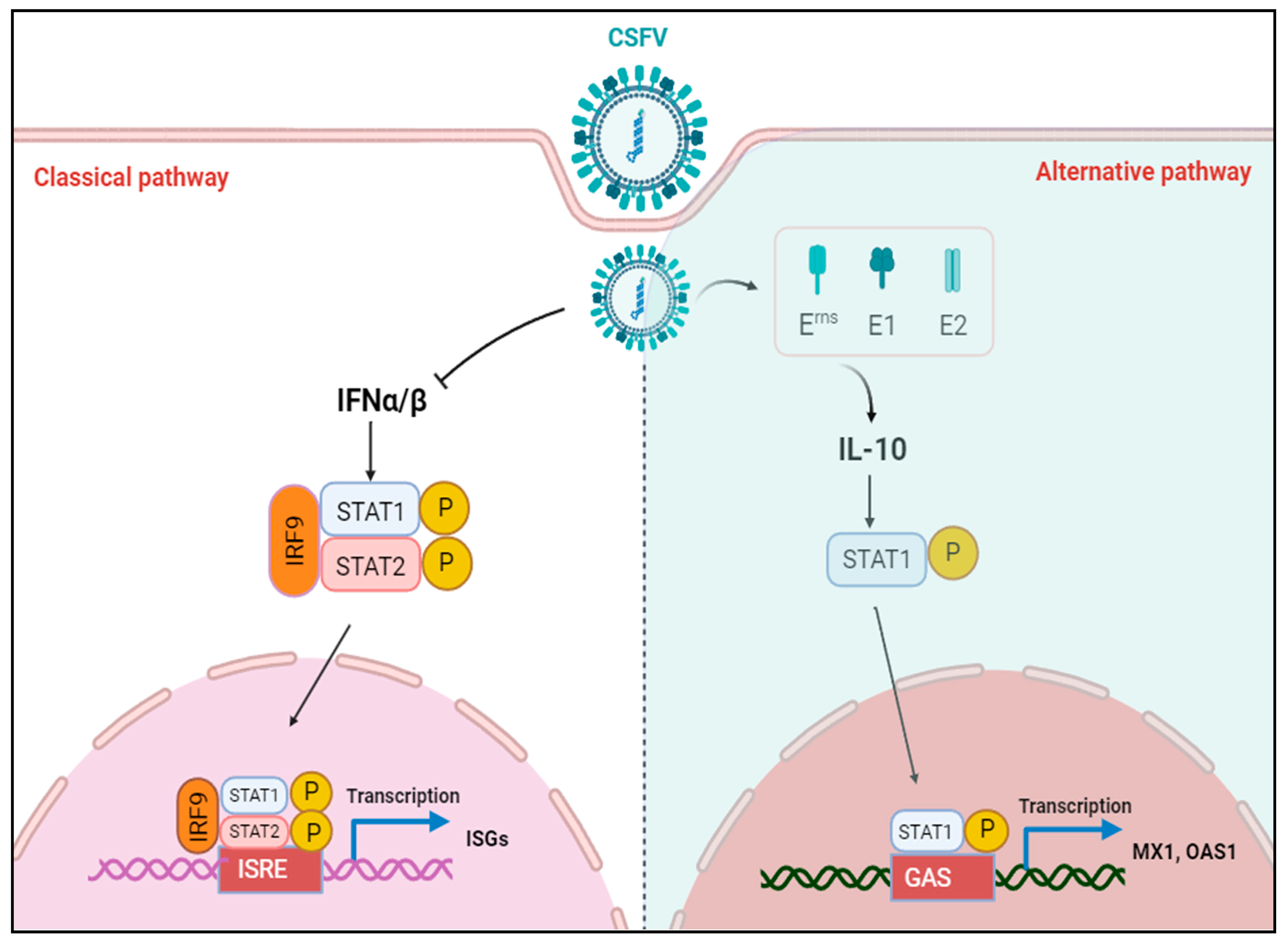 Biomolecules 15 00200 g010