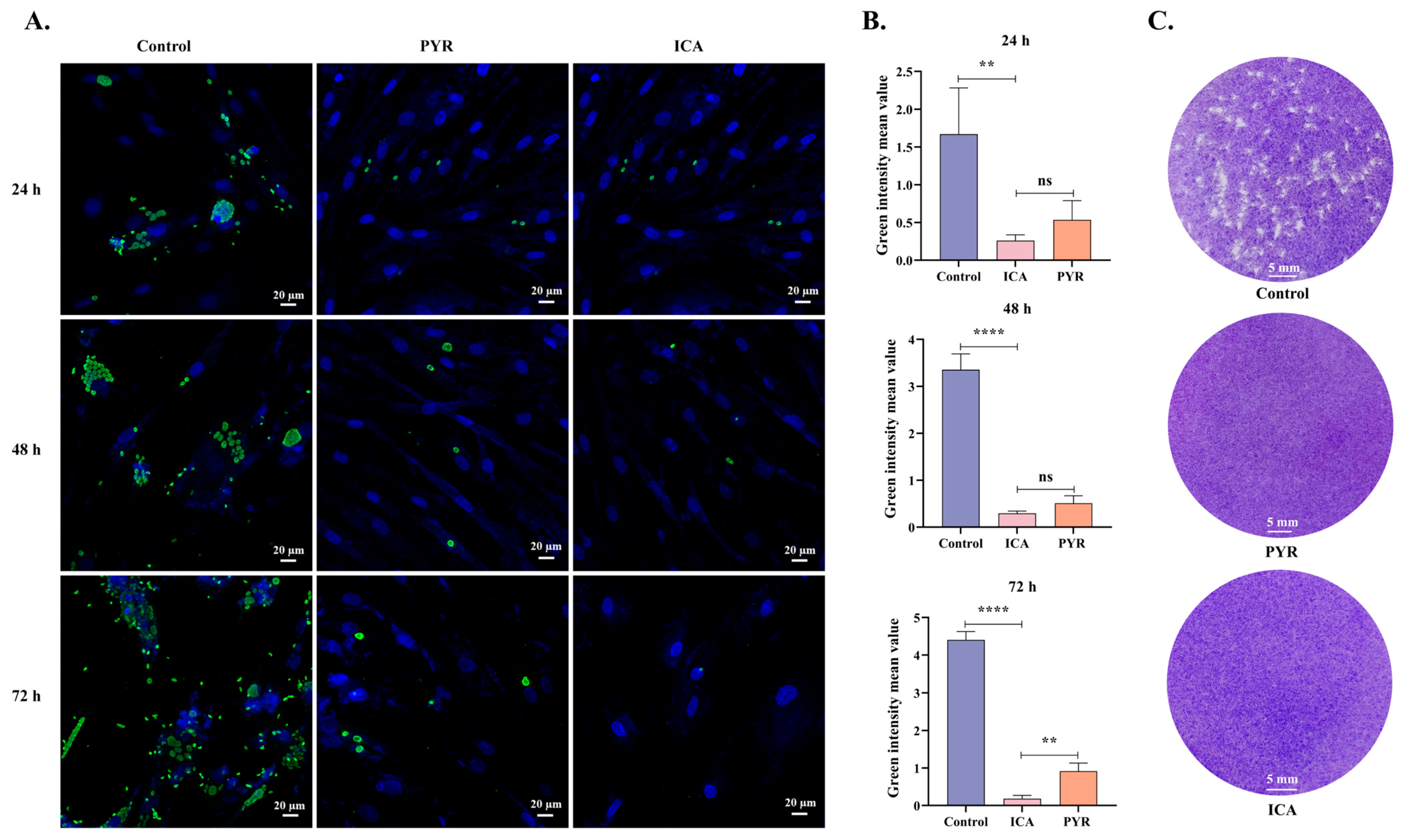 Biomolecules 15 00202 g003