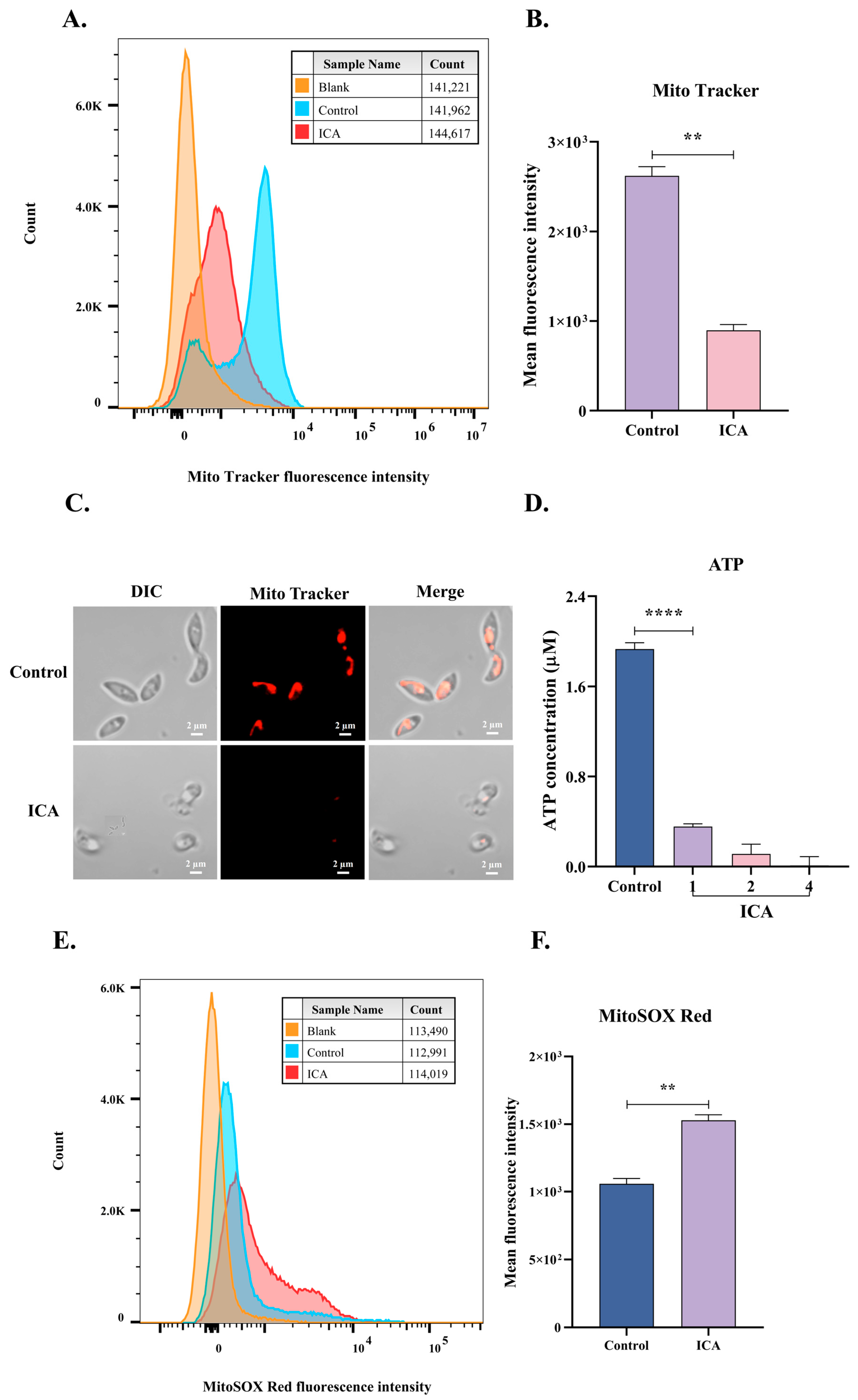 Biomolecules 15 00202 g005