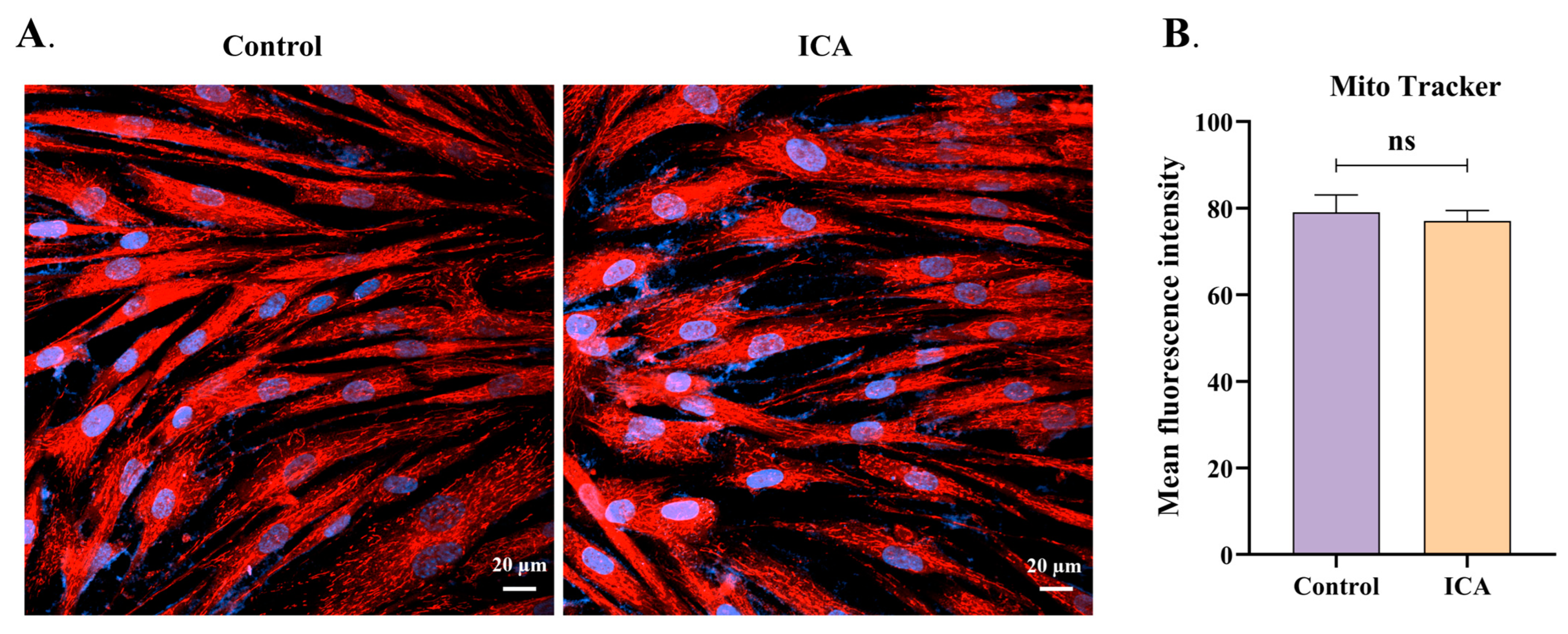 Biomolecules 15 00202 g006