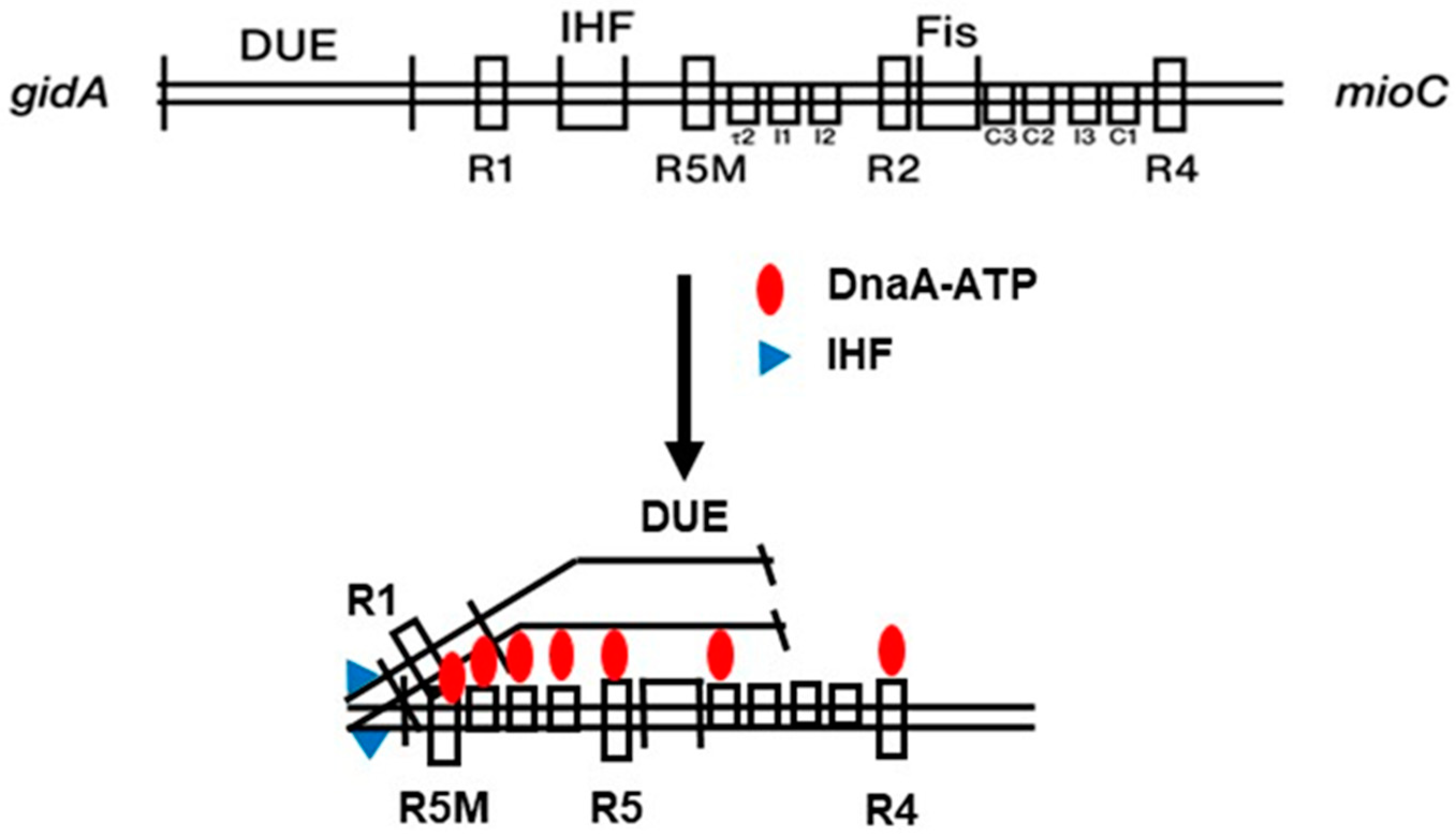 Biomolecules 15 00203 g001 Biomolecules 15 00203 g001